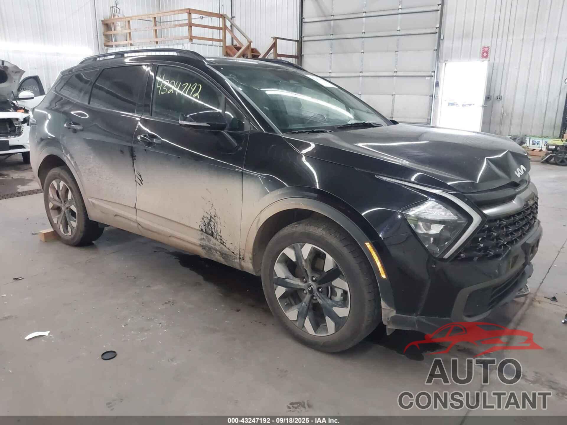 KIA SPORTAGE 2023 - 5XYK6CAFXPG104057