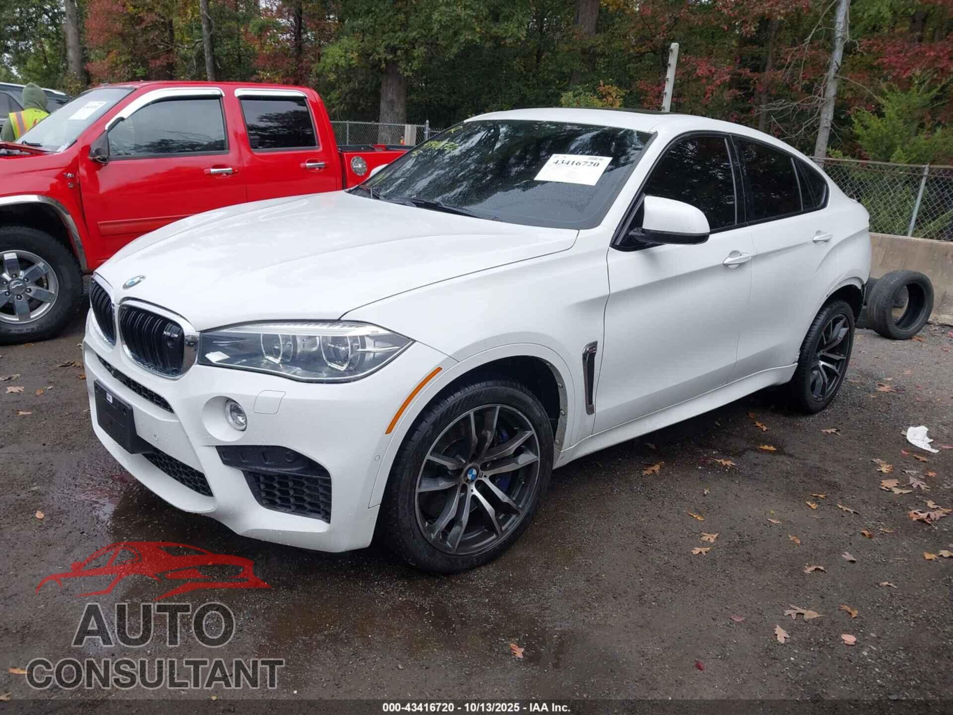 BMW X6 M 2018 - 5YMKW8C50J0U72589