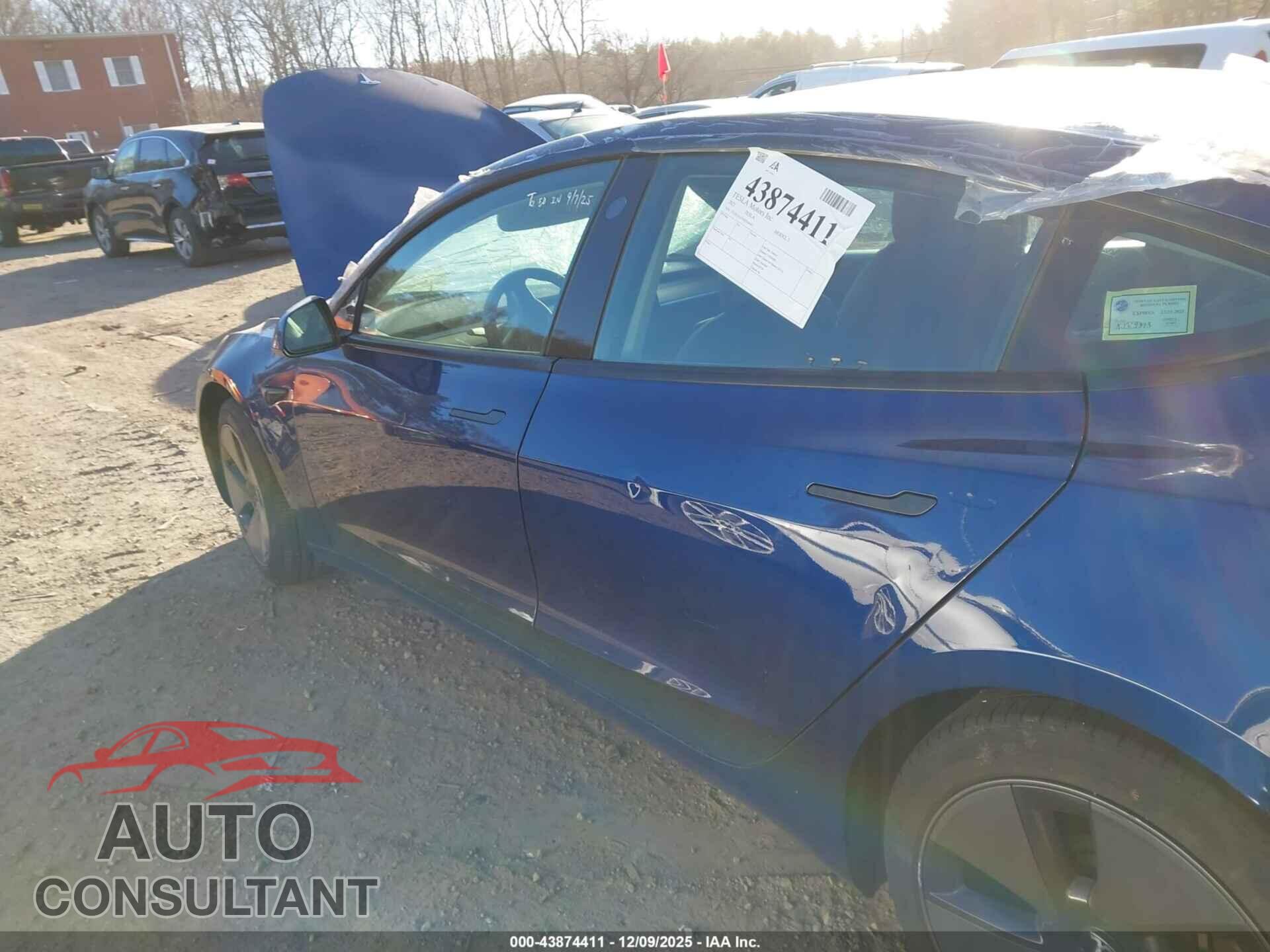 TESLA MODEL 3 2021 - 5YJ3E1EA3MF854641