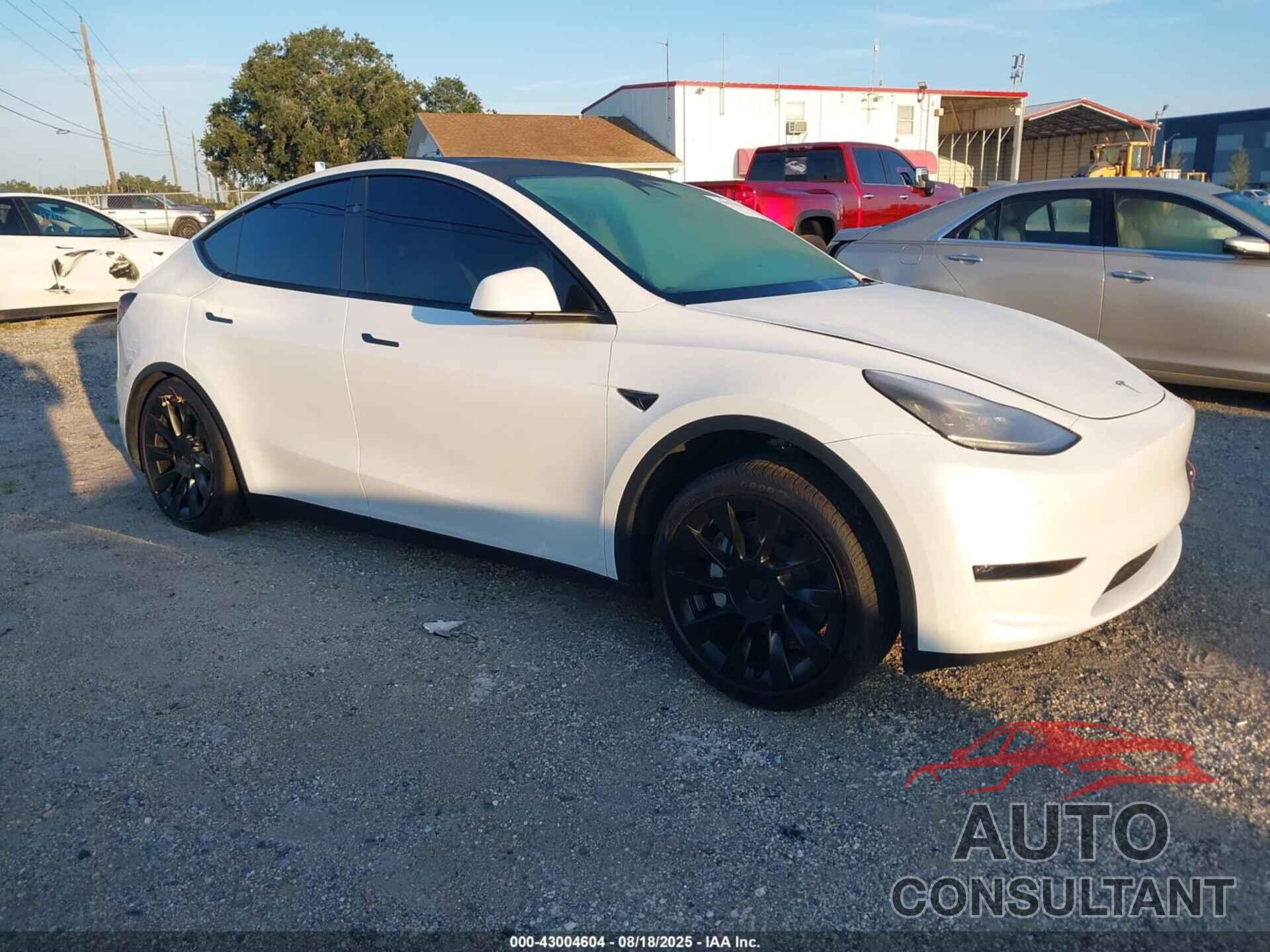 TESLA MODEL Y 2023 - 7SAYGDEE9PA146600