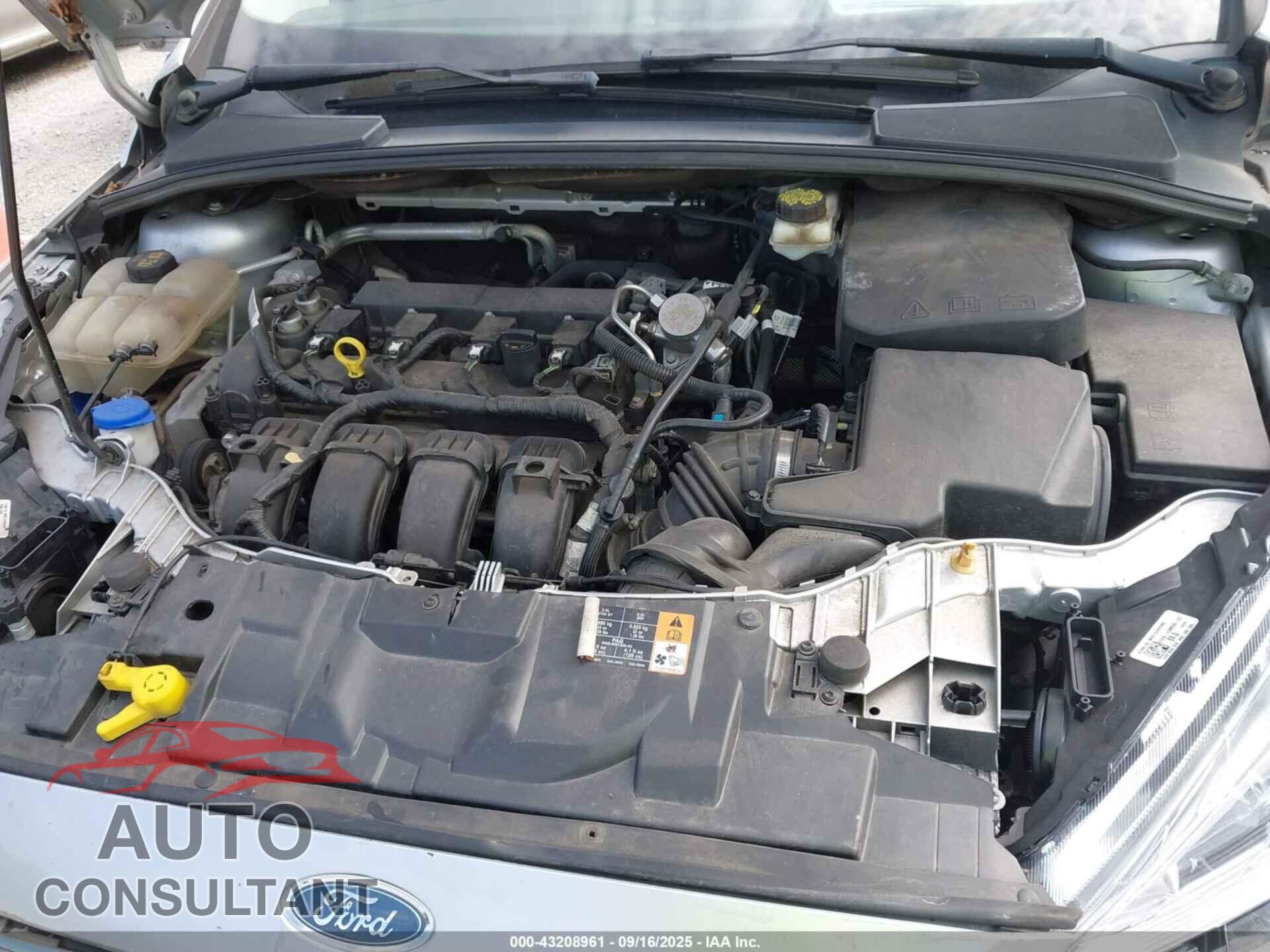 FORD FOCUS 2017 - 1FADP3N25HL291507