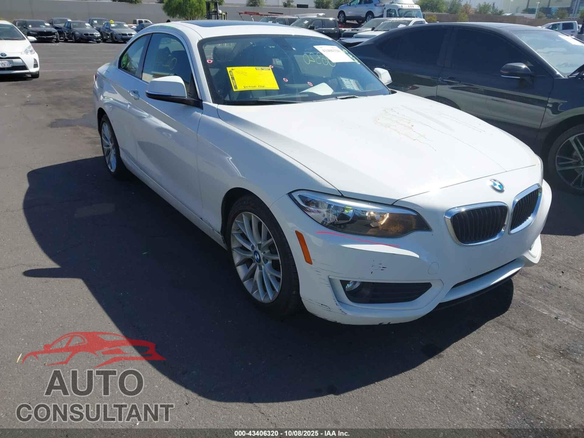 BMW 228I 2014 - WBA1F5C50EVV98928