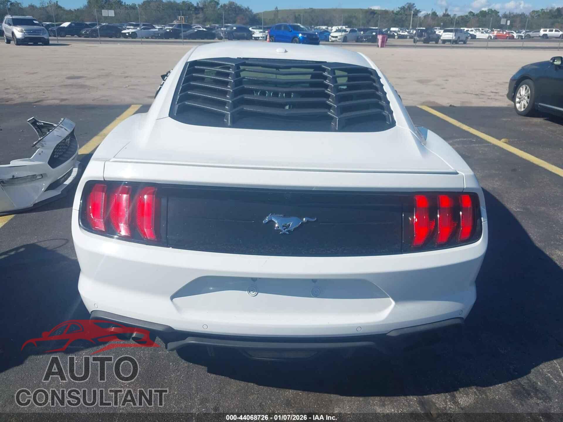 FORD MUSTANG 2019 - 1FA6P8TH1K5141502