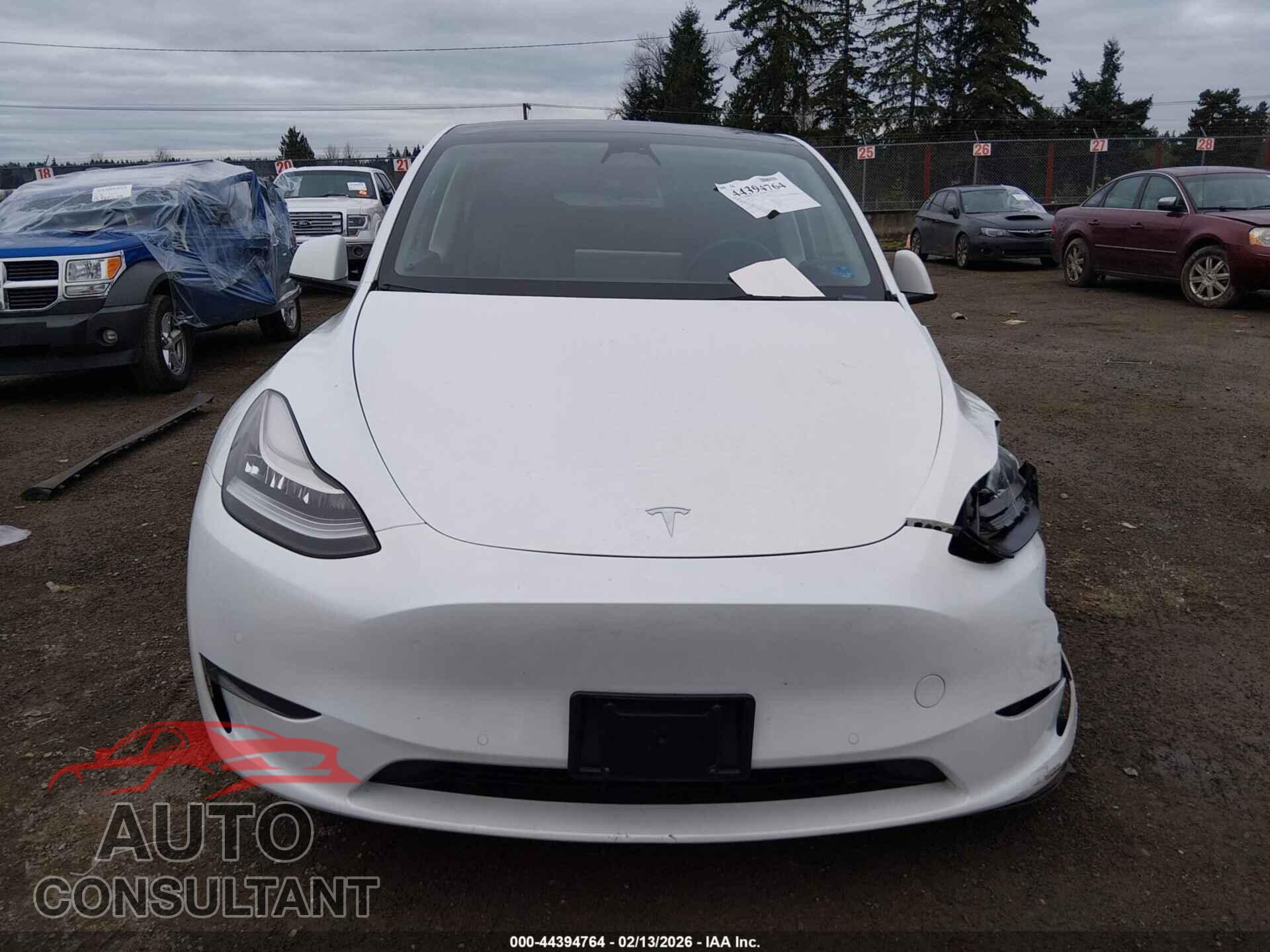 TESLA MODEL Y 2022 - 7SAYGDEE9NF504732