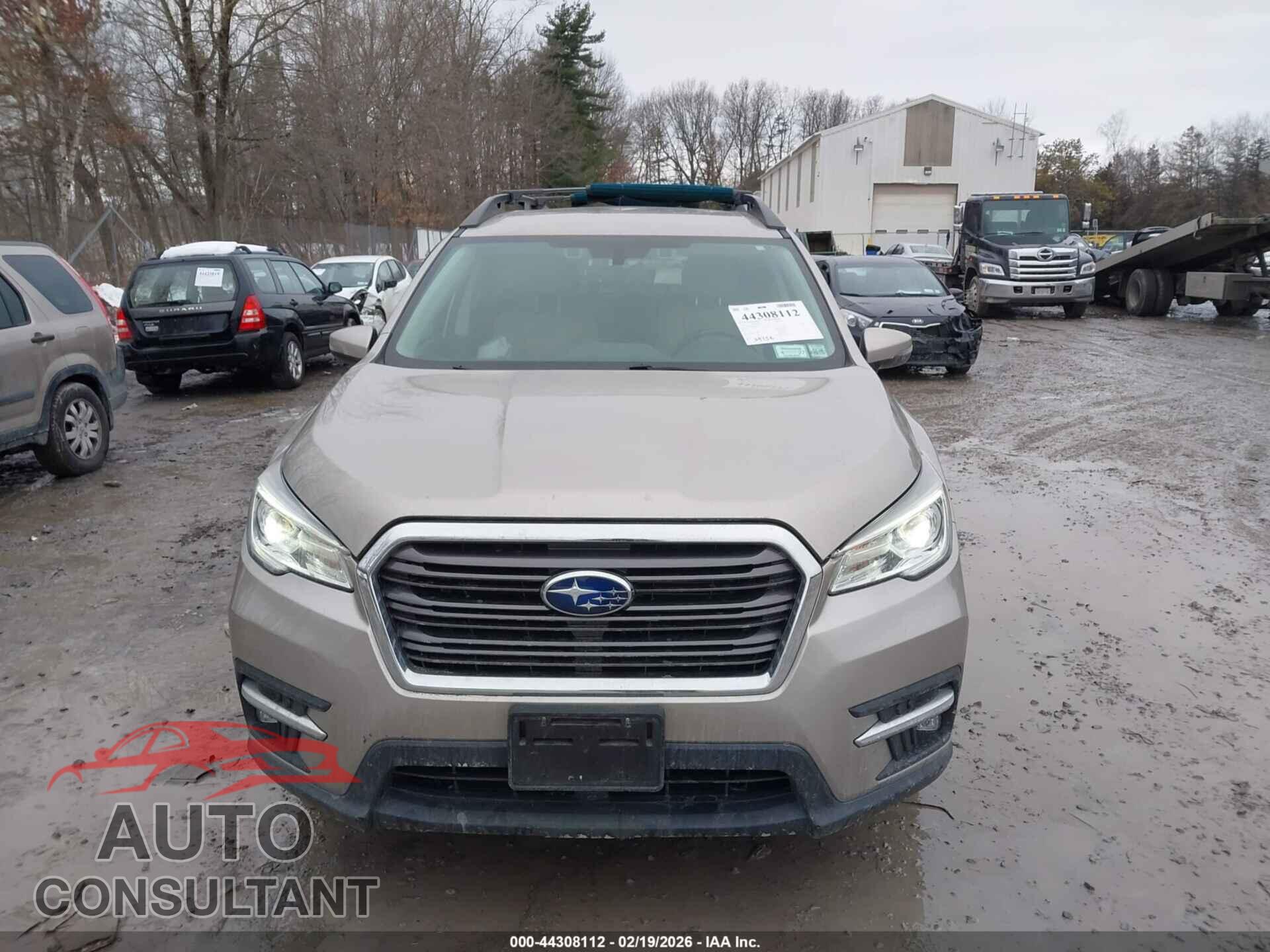 SUBARU ASCENT 2019 - 4S4WMAMDXK3471376
