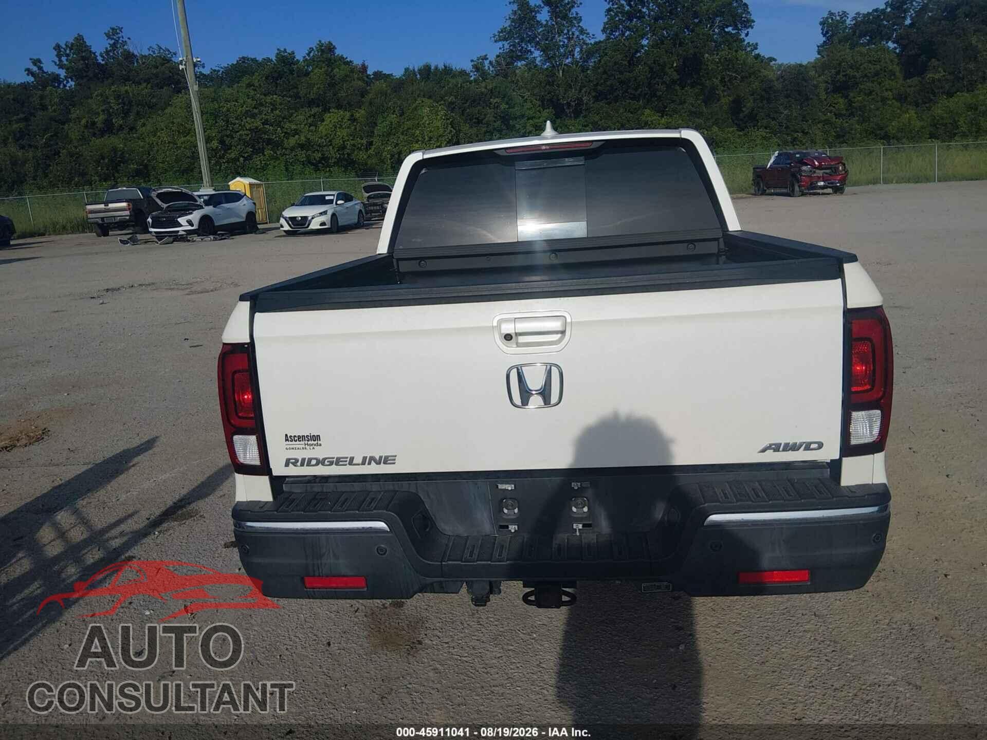 HONDA RIDGELINE 2019 - 5FPYK3F70KB013667