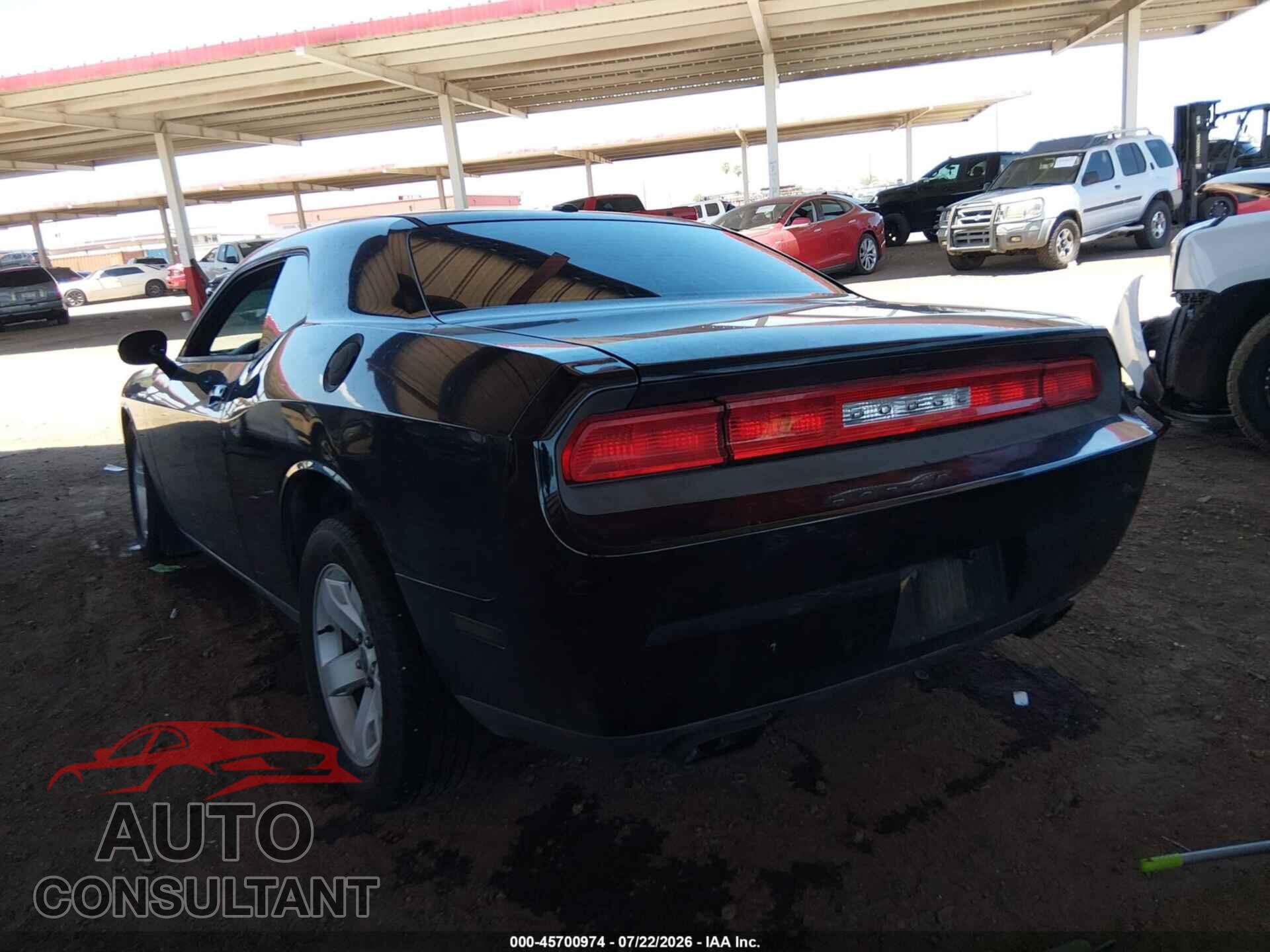 DODGE CHALLENGER 2013 - 2C3CDYAG3DH728705
