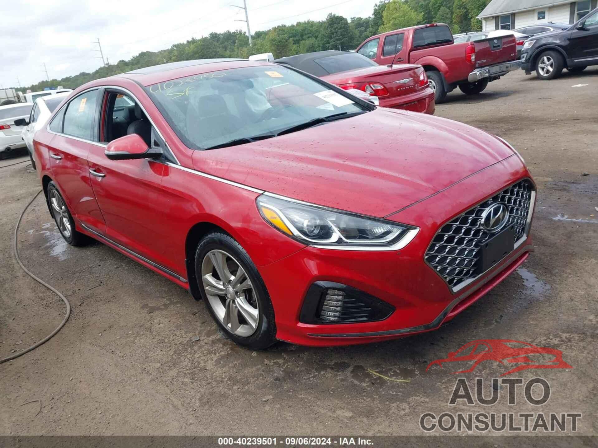 HYUNDAI SONATA 2019 - 5NPE34AF9KH768928