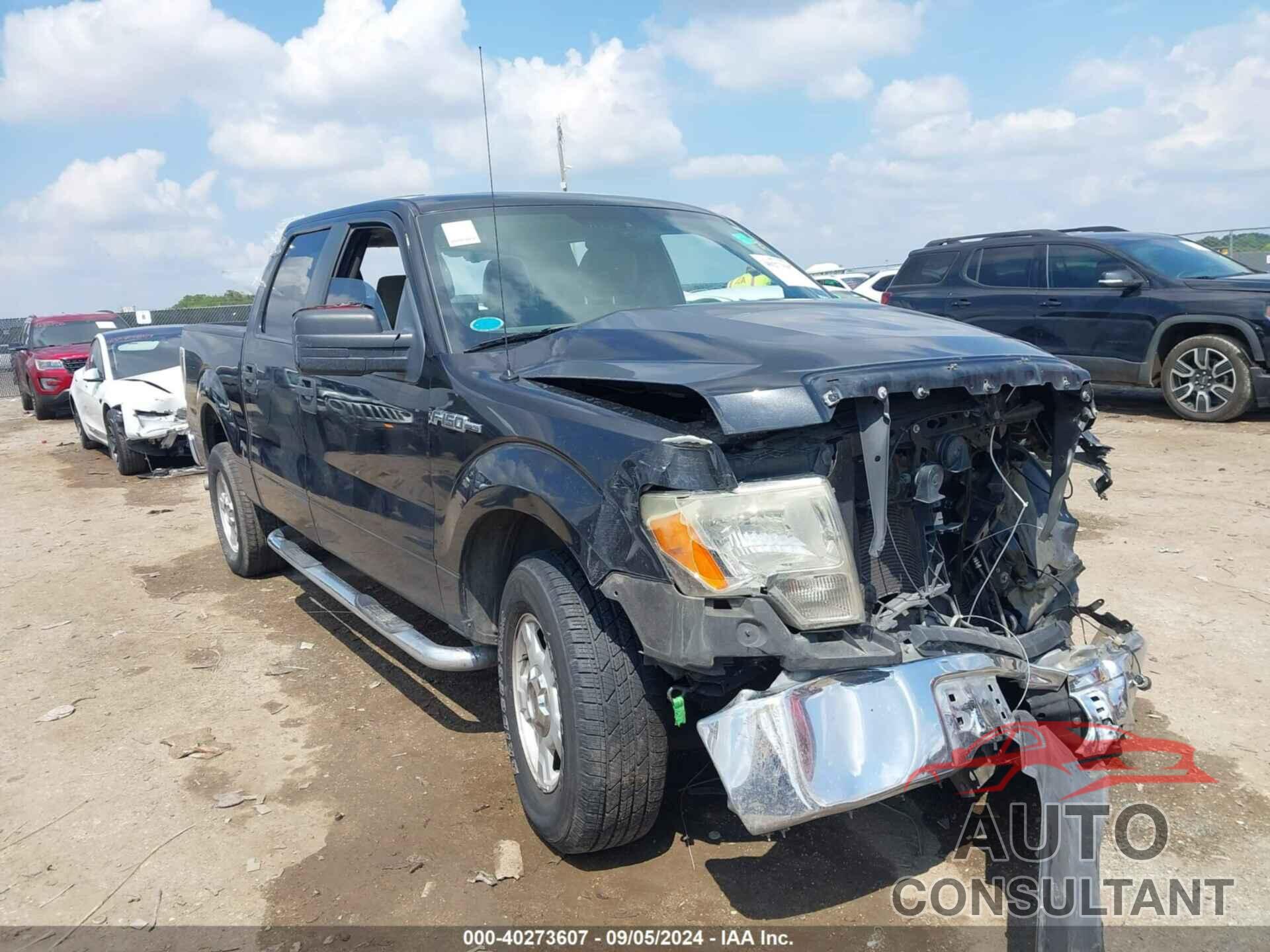 FORD F-150 2010 - 1FTEW1C83AFA08877