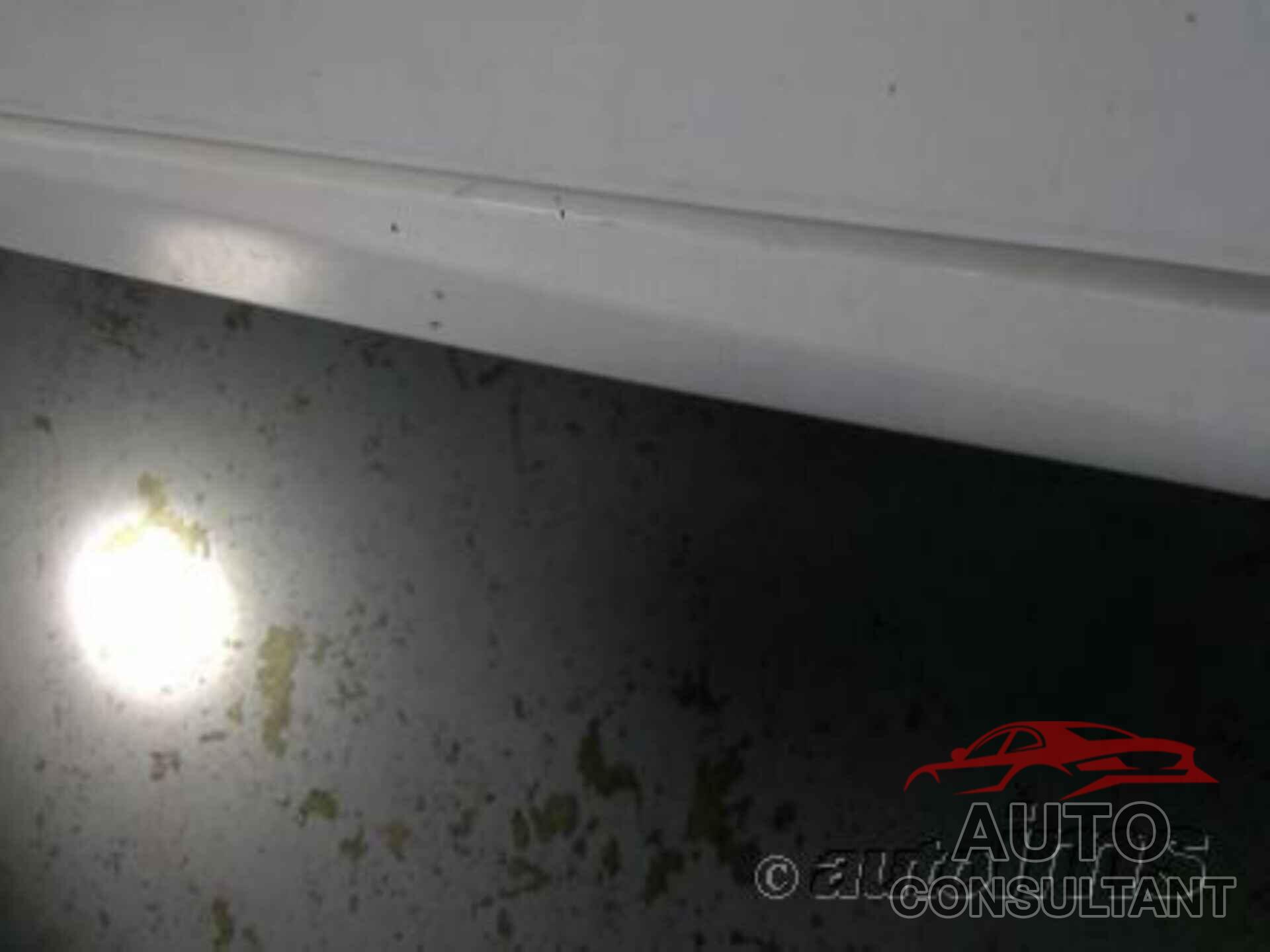 TOYOTA CAMRY 2021 - 4T1C11AK3MU531008
