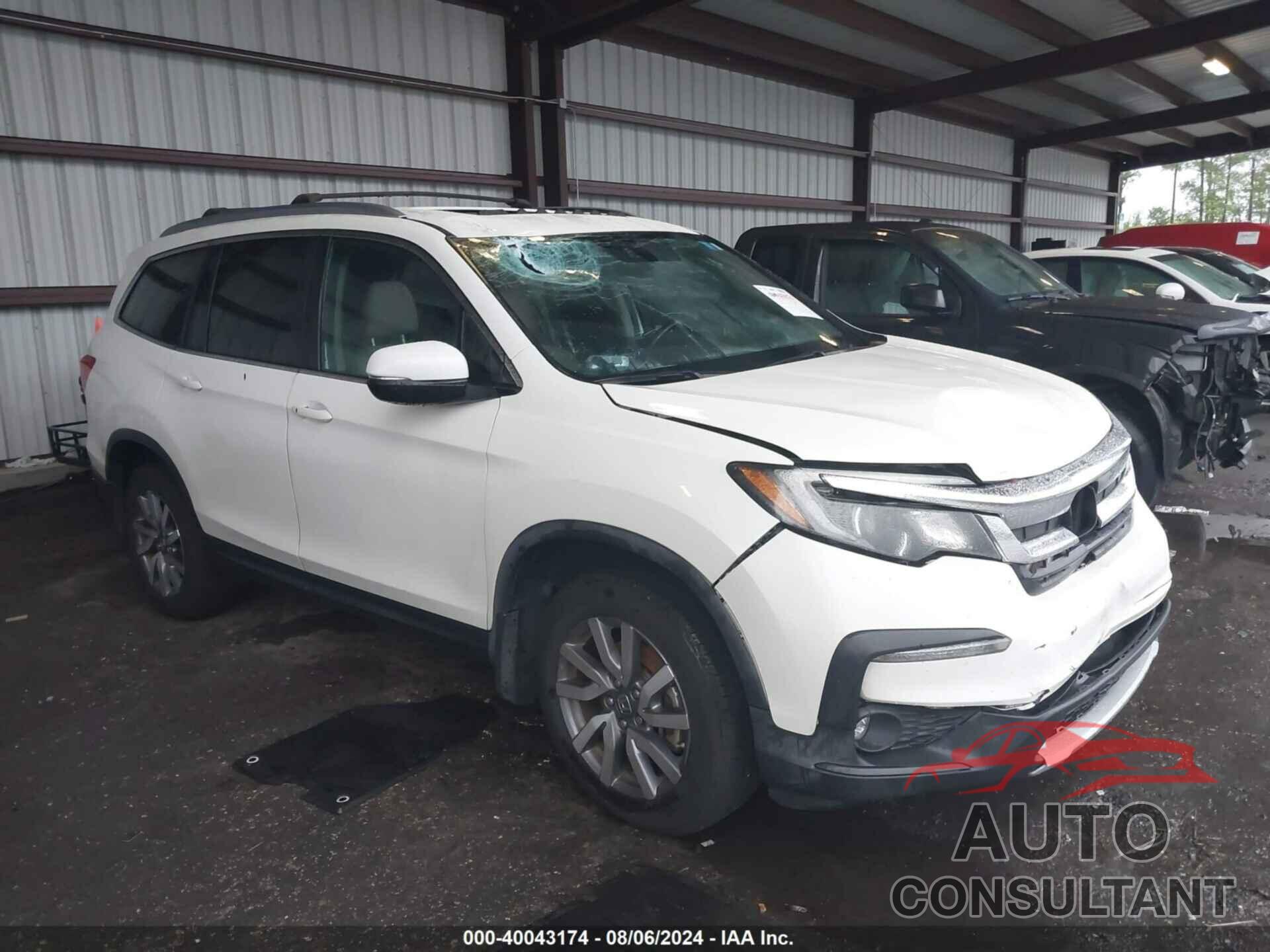 HONDA PILOT 2019 - 5FNYF5H52KB023850