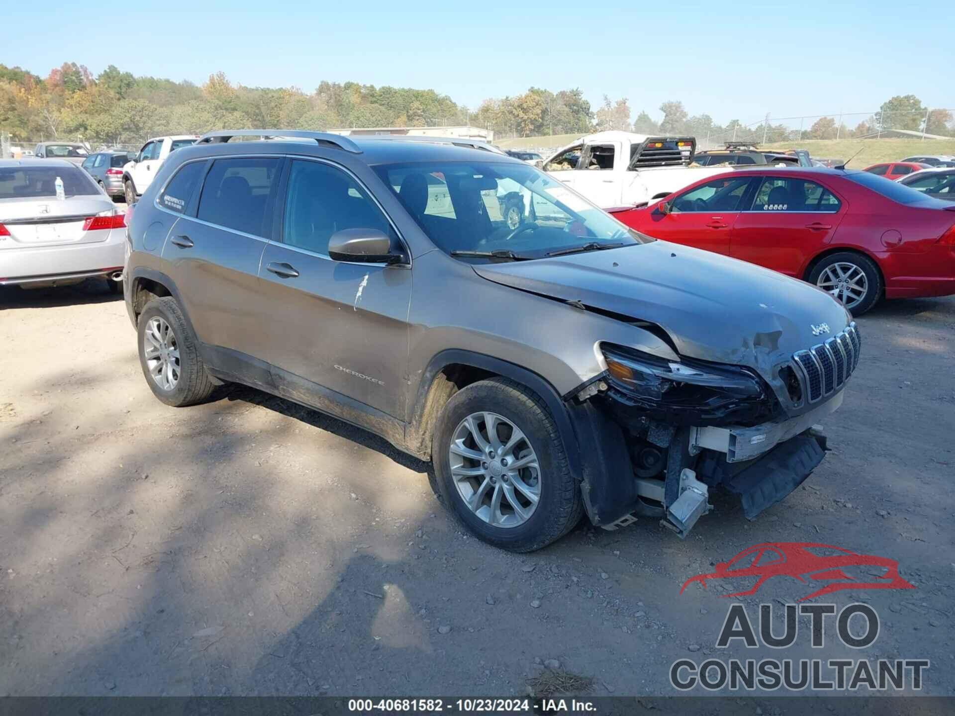 JEEP CHEROKEE 2019 - 1C4PJLCB9KD248236