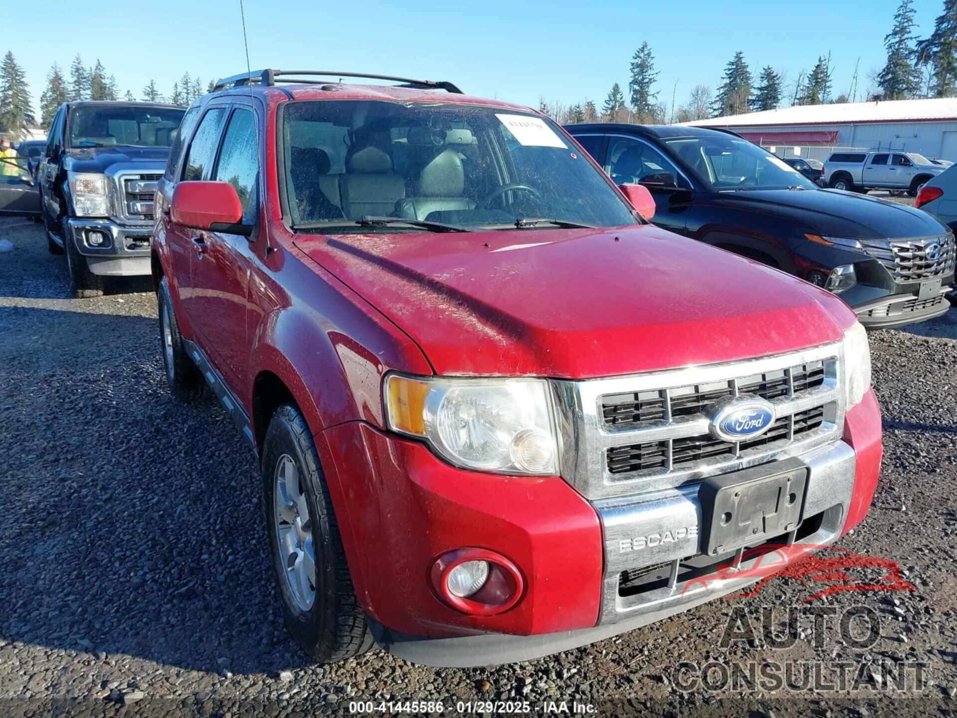FORD ESCAPE 2011 - 1FMCU0EGXBKC13323
