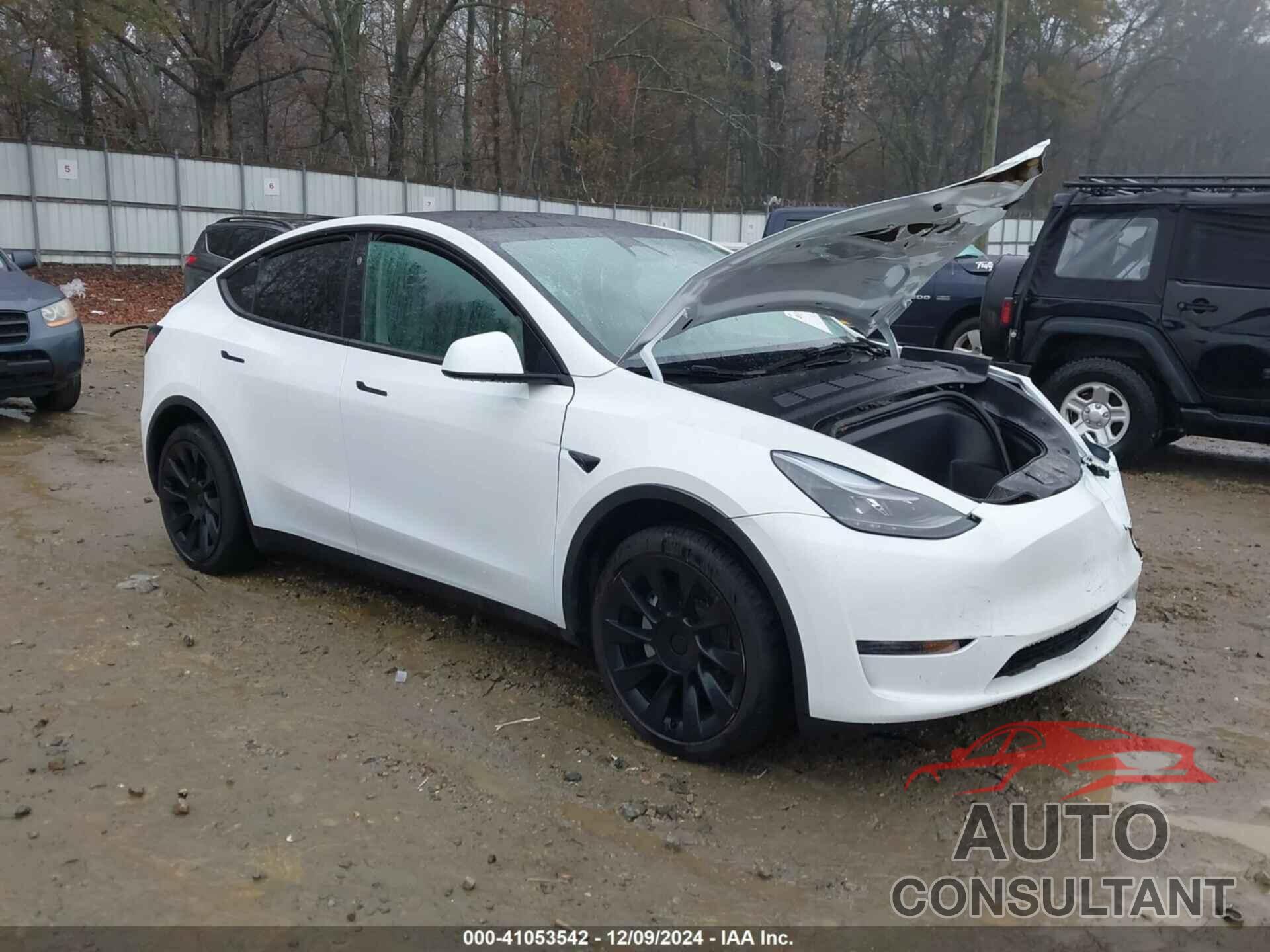 TESLA MODEL Y 2024 - 7SAYGDED4RF101092