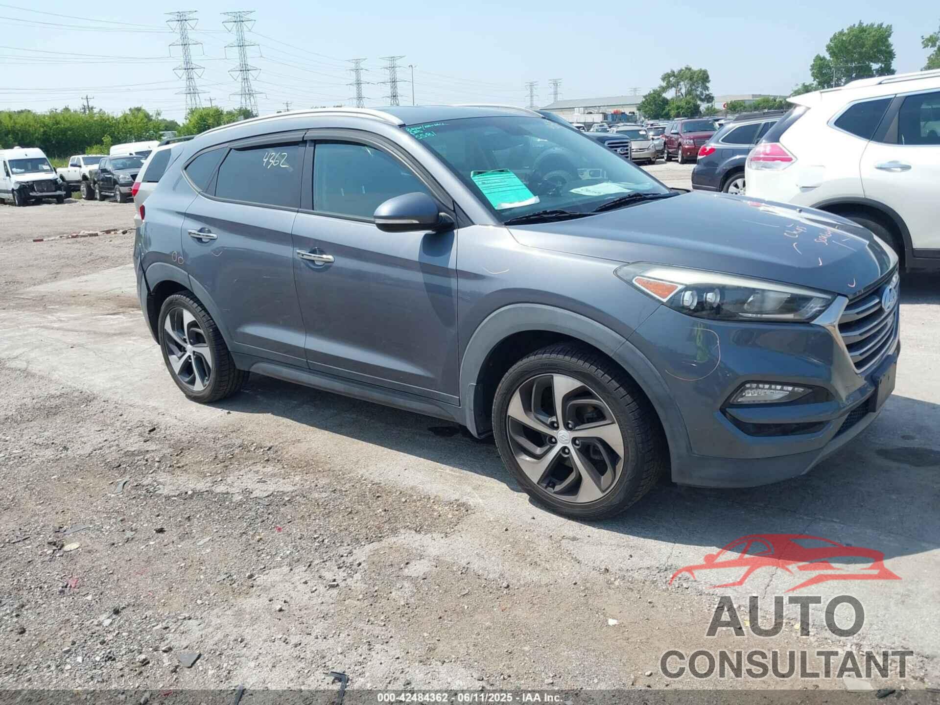 HYUNDAI TUCSON 2016 - KM8J33A21GU224387