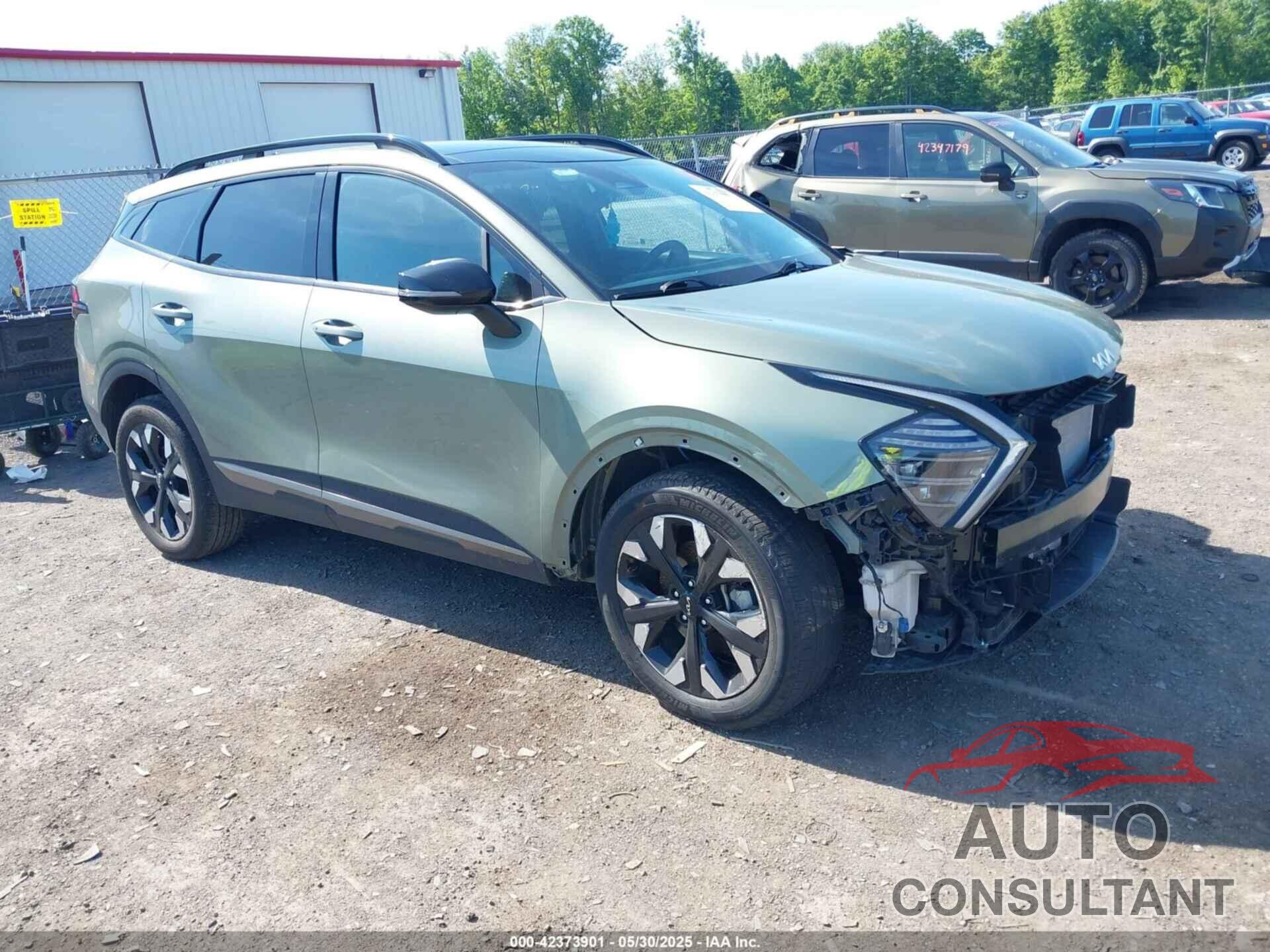 KIA SPORTAGE 2024 - 5XYK6CDF4RG146349