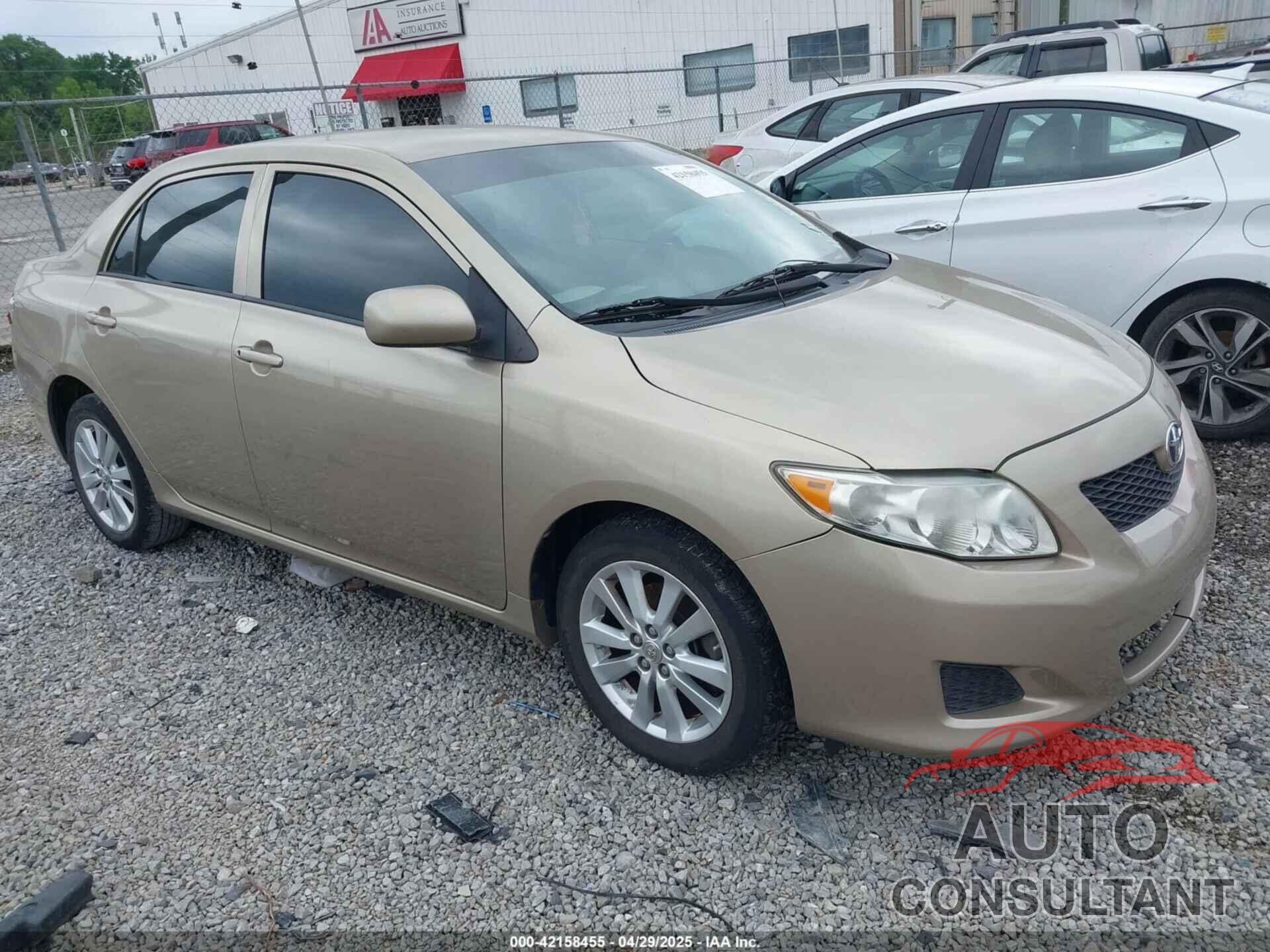 TOYOTA COROLLA 2009 - 2T1BU40EX9C041643