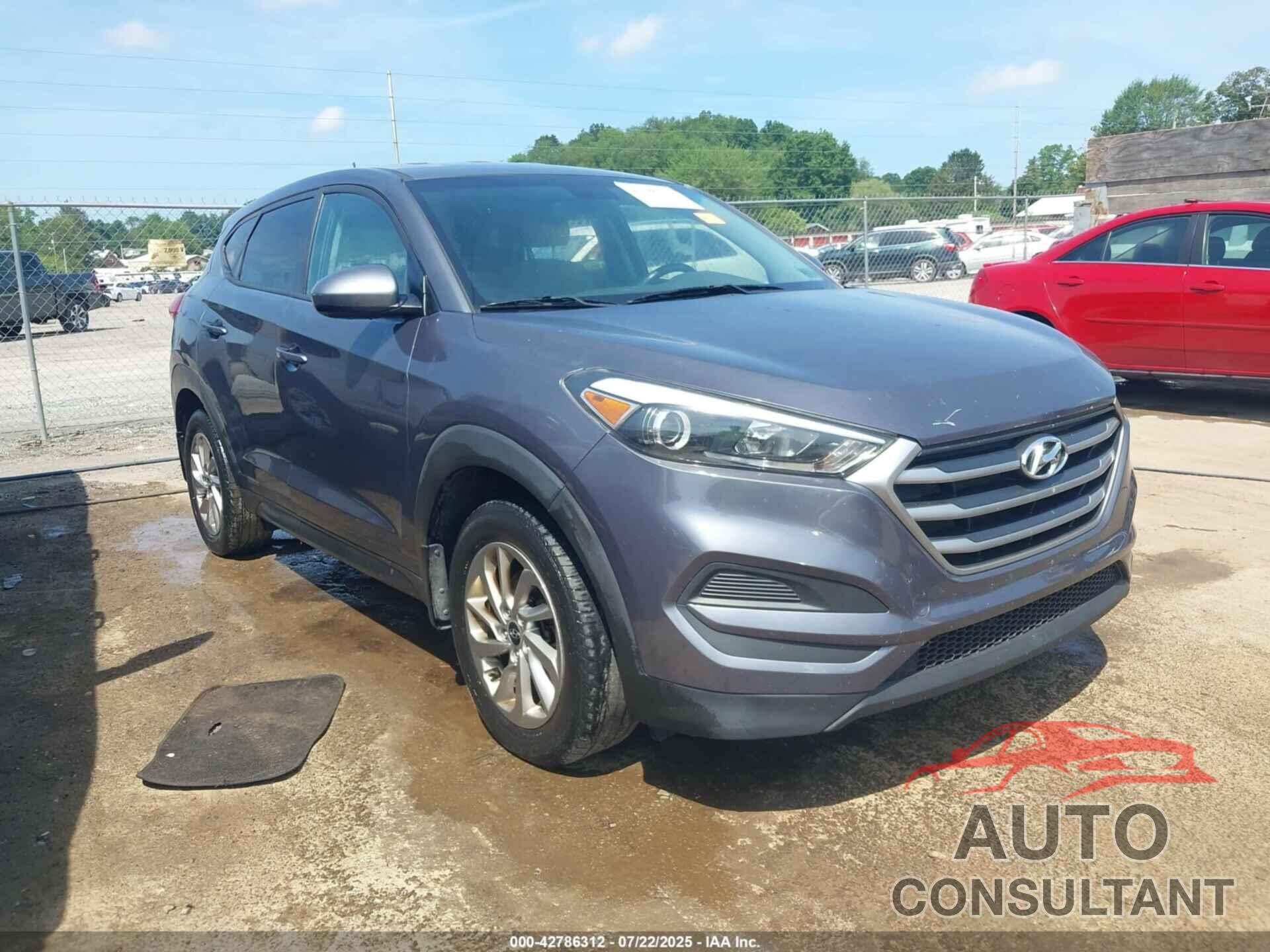 HYUNDAI TUCSON 2017 - KM8J23A42HU393372