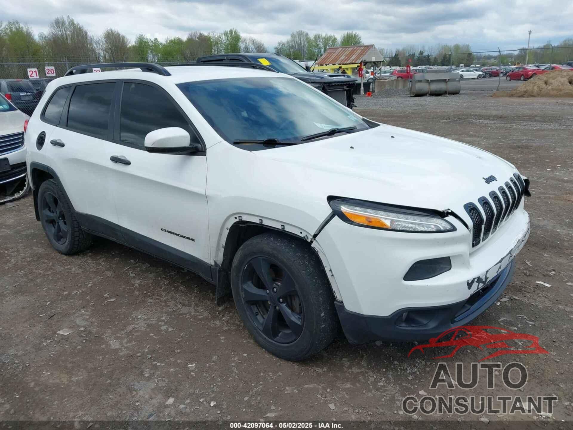 JEEP CHEROKEE 2016 - 1C4PJMDB1GW310020