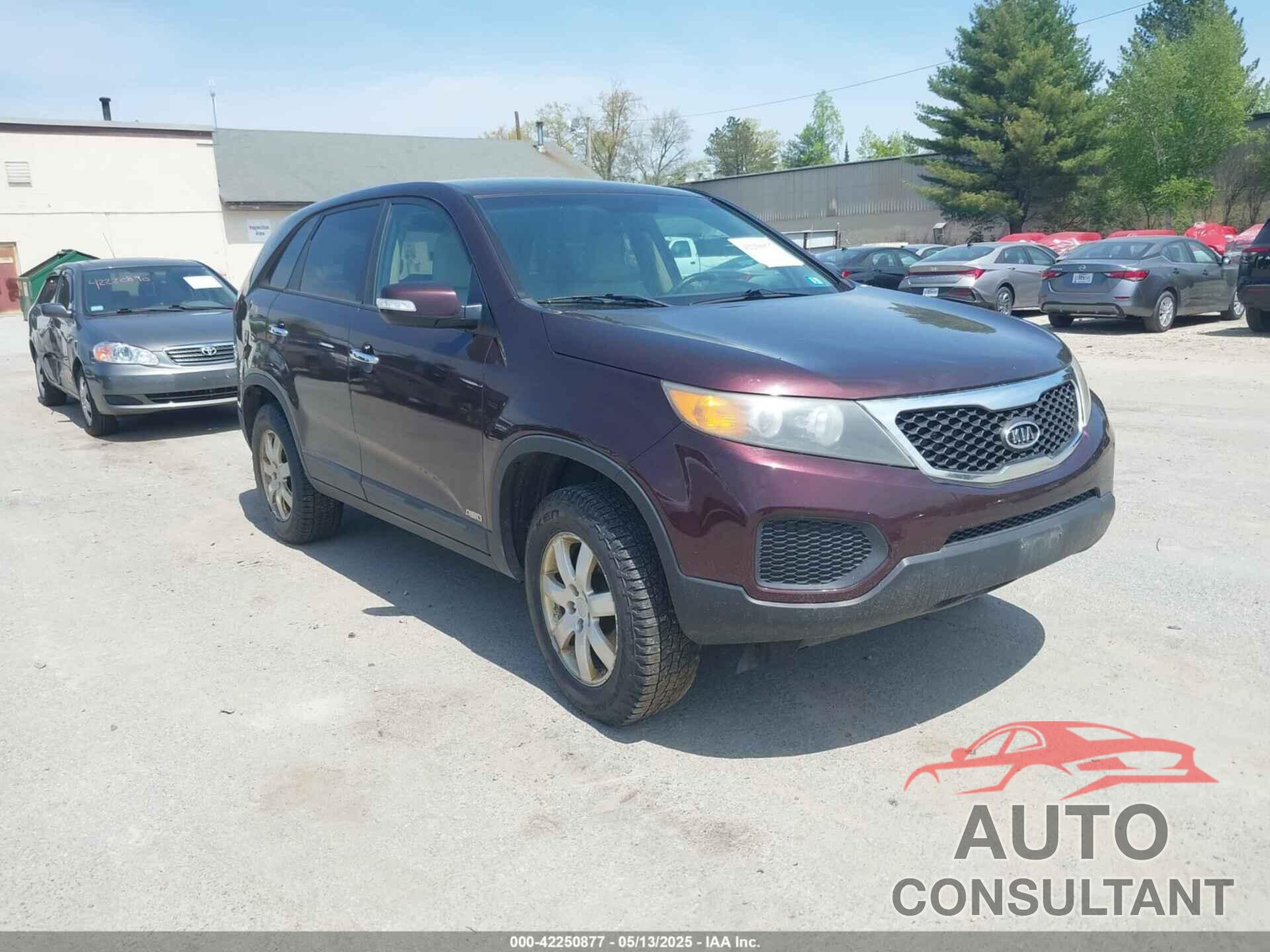 KIA SORENTO 2011 - 5XYKTCA19BG008104