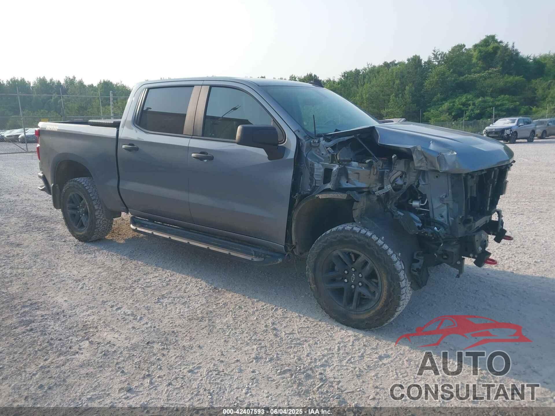 CHEVROLET SILVERADO 1500 2019 - 1GCPYCEFXKZ376063