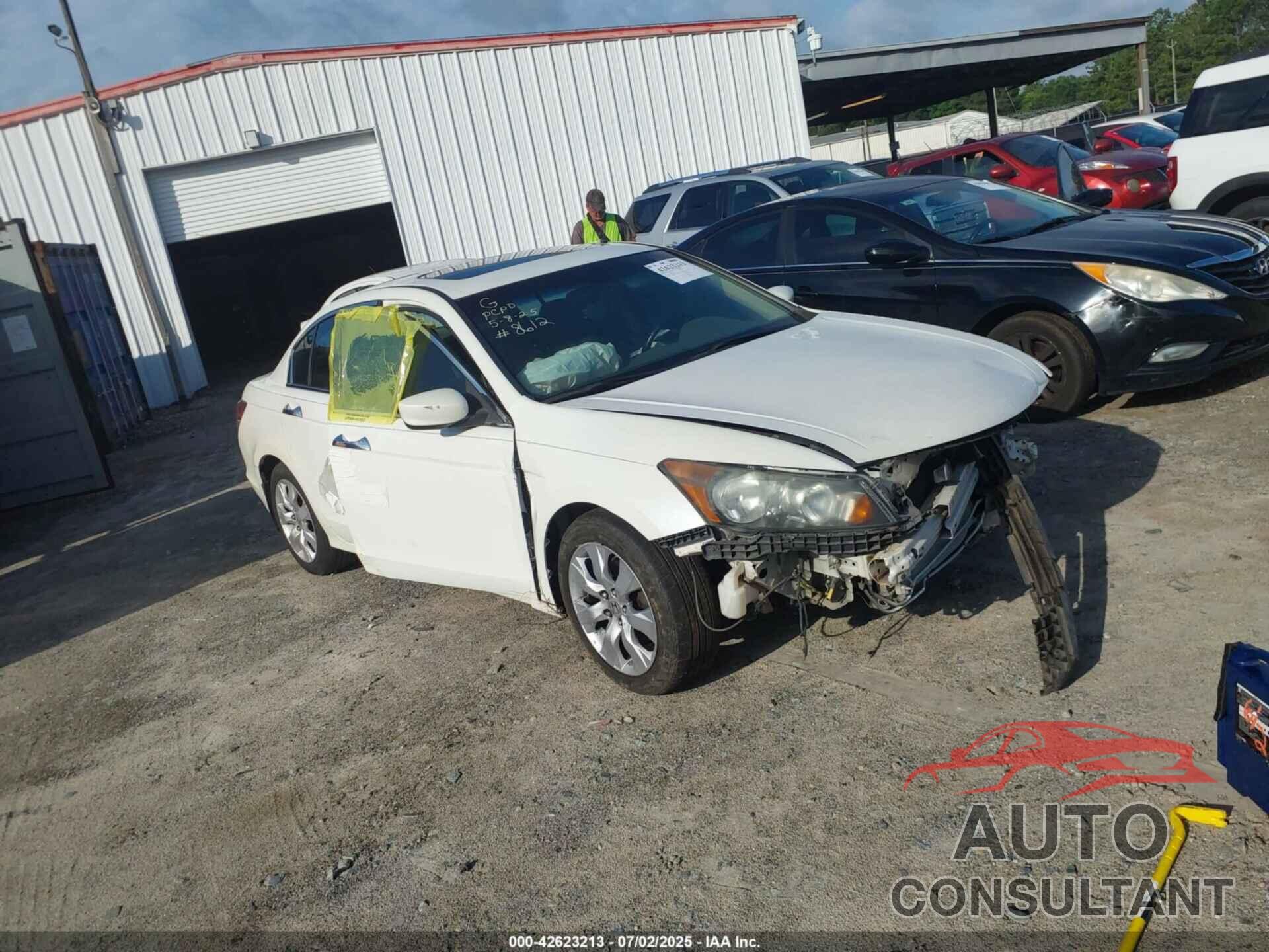 HONDA ACCORD 2010 - 5KBCP3F86AB012598