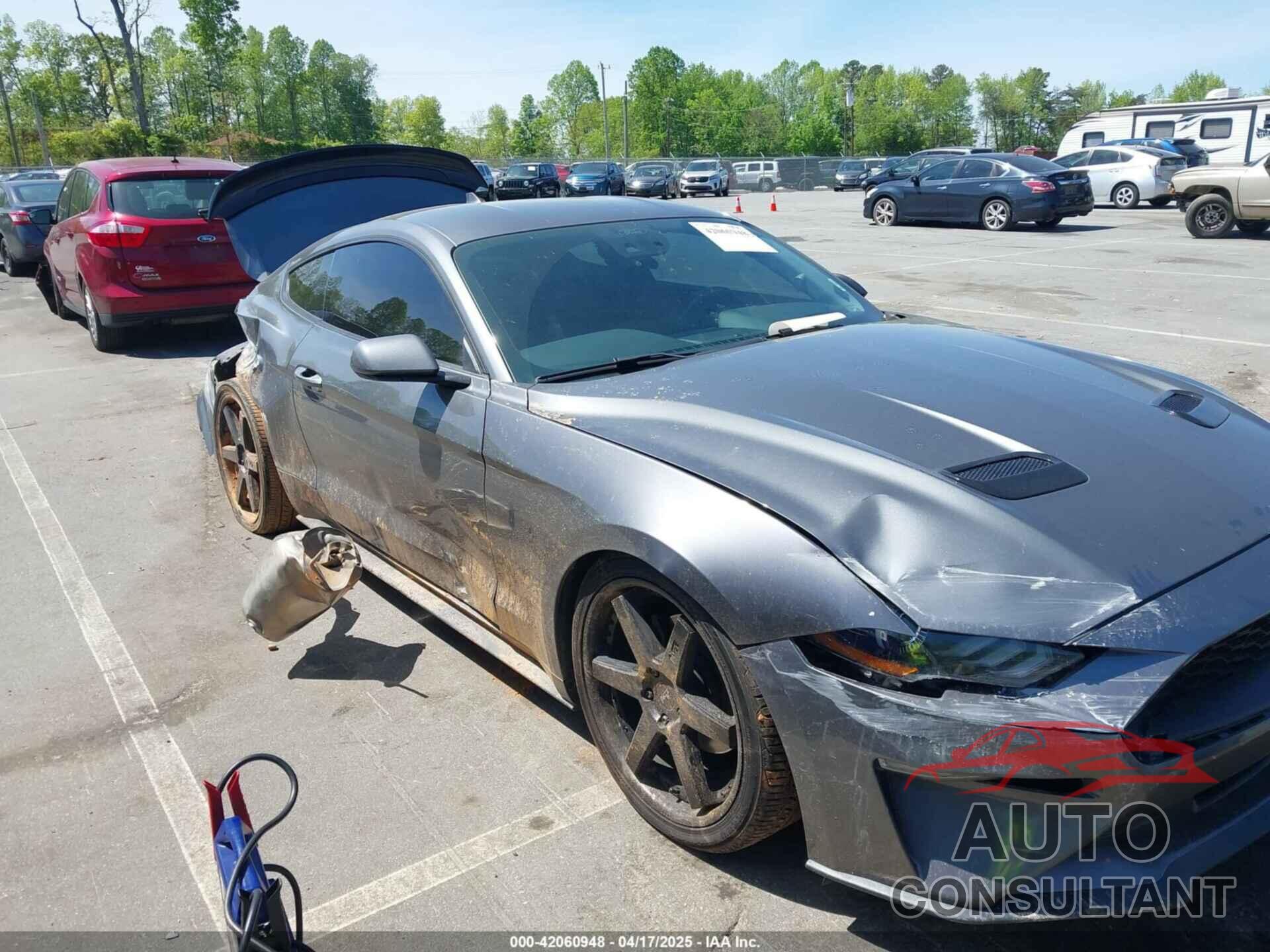 FORD MUSTANG 2021 - 1FA6P8TH3M5100601
