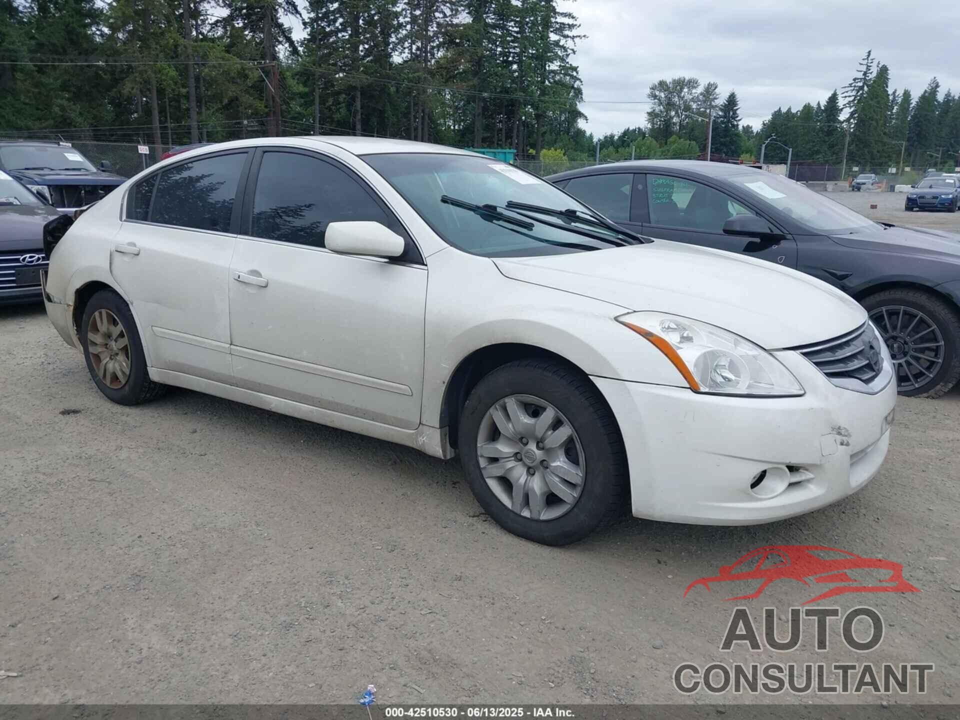 NISSAN ALTIMA 2010 - 1N4AL2AP1AN423408