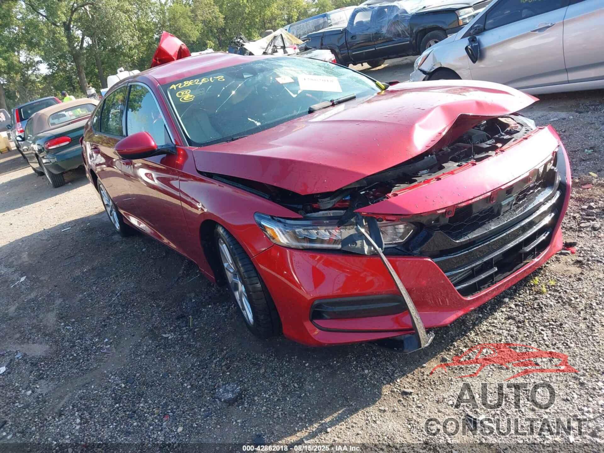 HONDA ACCORD 2019 - 1HGCV1F10KA151231