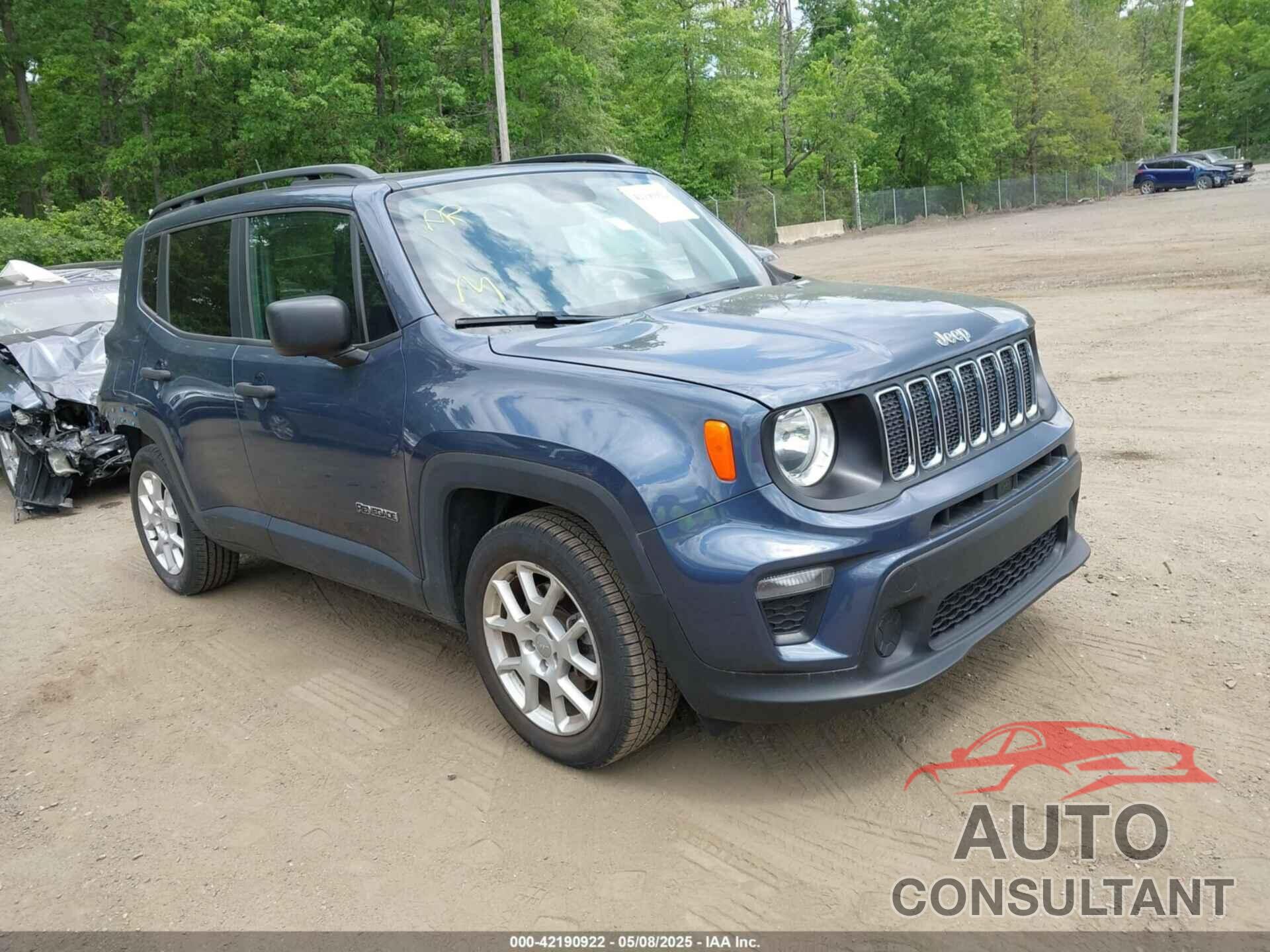 JEEP RENEGADE 2019 - ZACNJAAB9KPK76101
