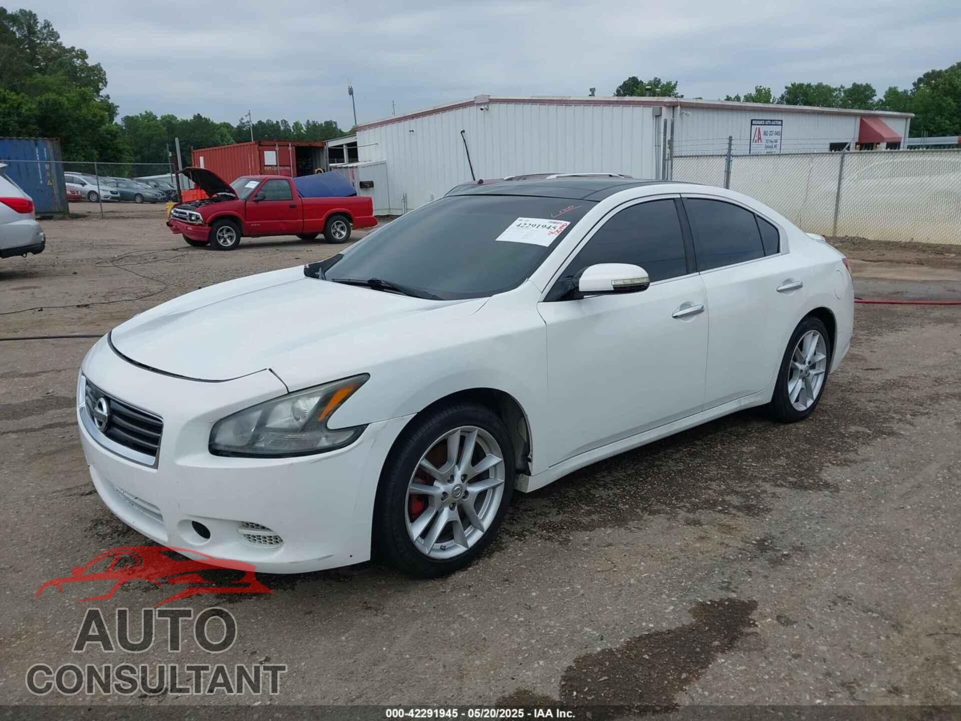NISSAN MAXIMA 2009 - 1N4AA51EX9C855122