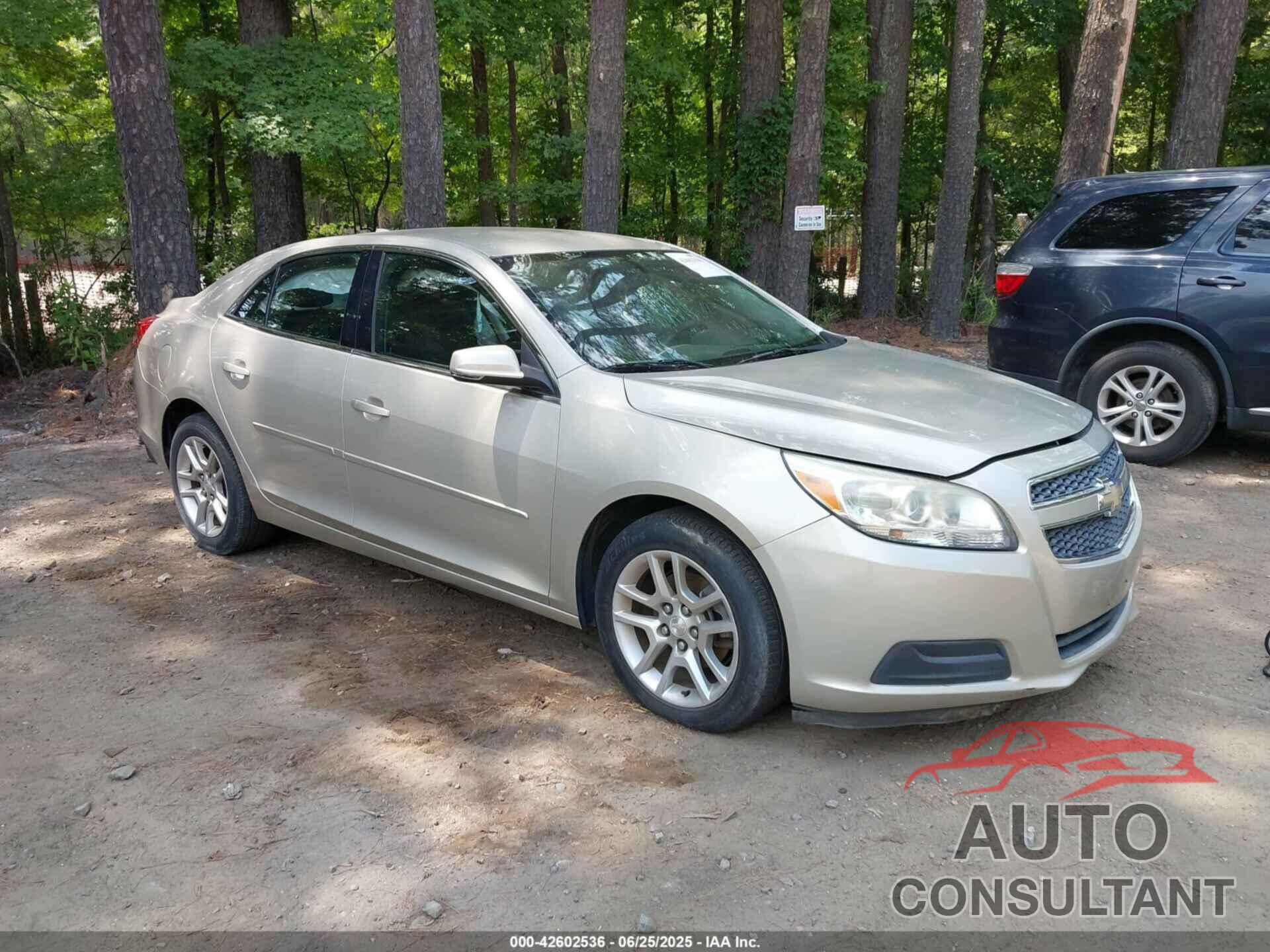 CHEVROLET MALIBU 2013 - 1G11C5SA5DF303219