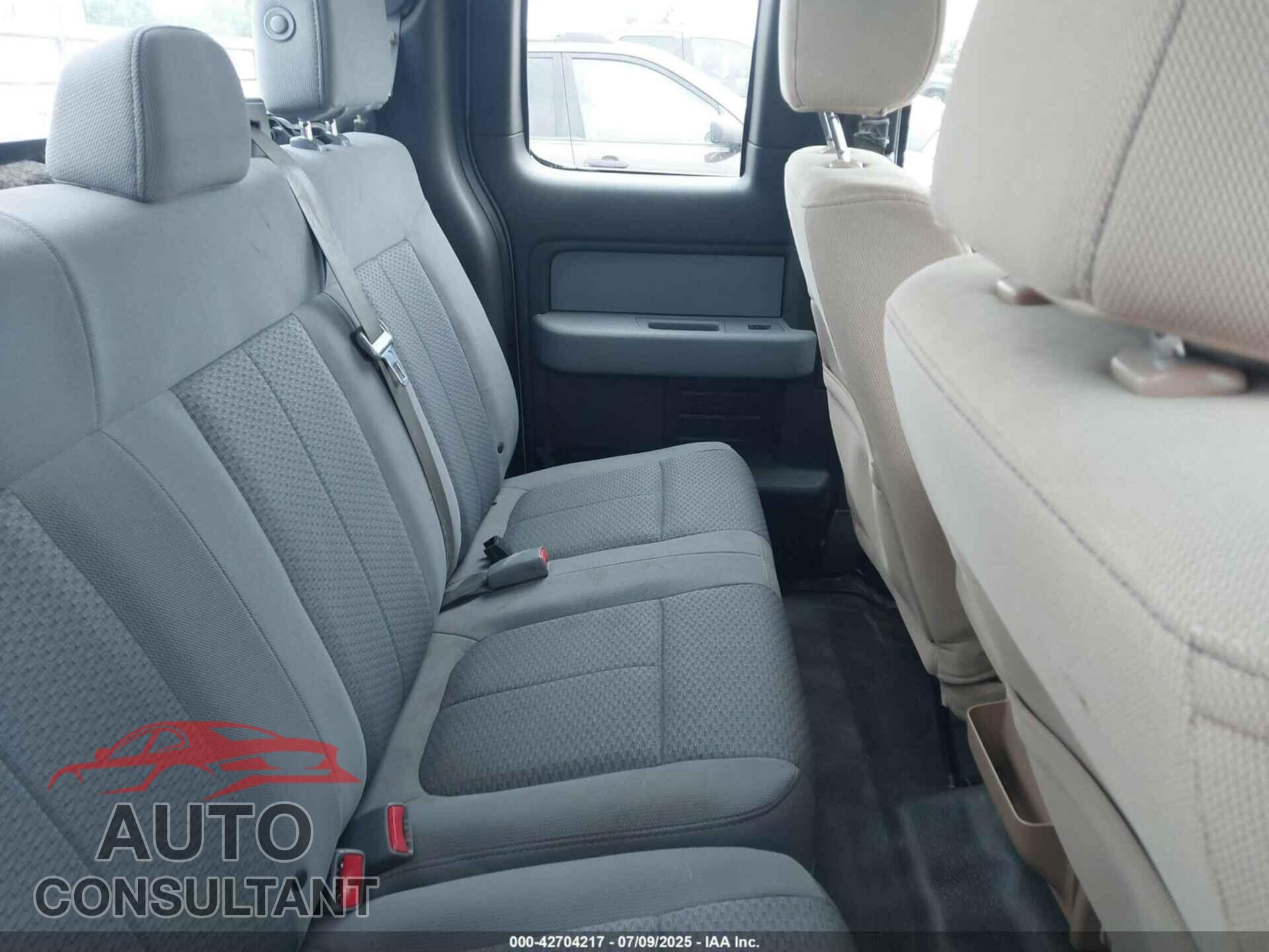 FORD F-150 2013 - 1FTFX1CF8DFC64551