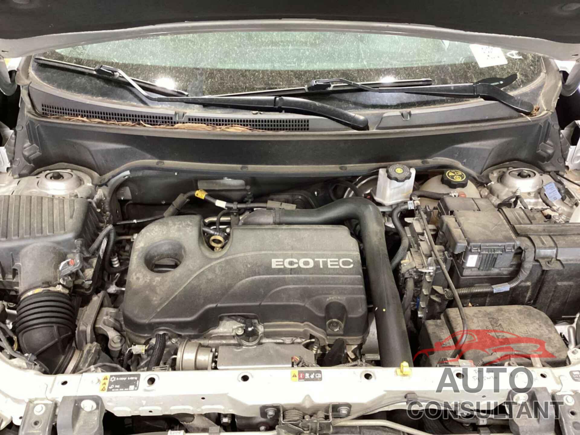 CHEVROLET EQUINOX 2021 - 3GNAXTEV2MS102833
