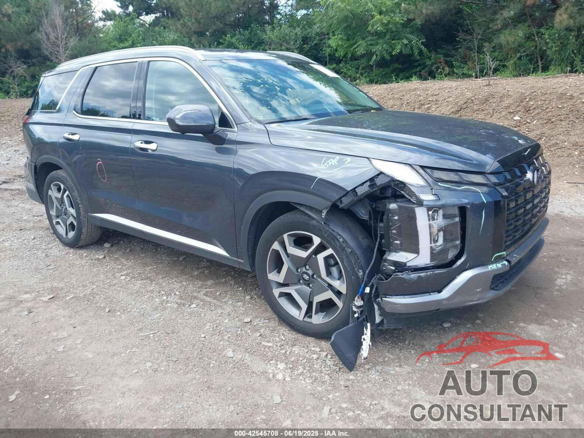 HYUNDAI PALISADE 2024 - KM8R4DGE9RU690501
