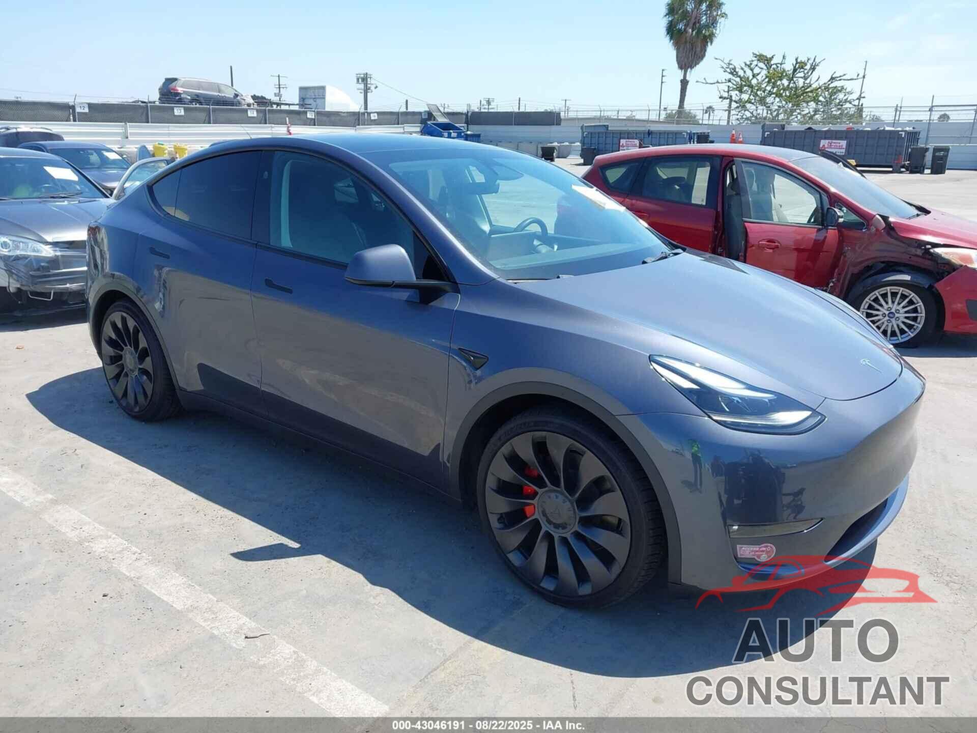 TESLA MODEL Y 2023 - 7SAYGDEF0PF801075