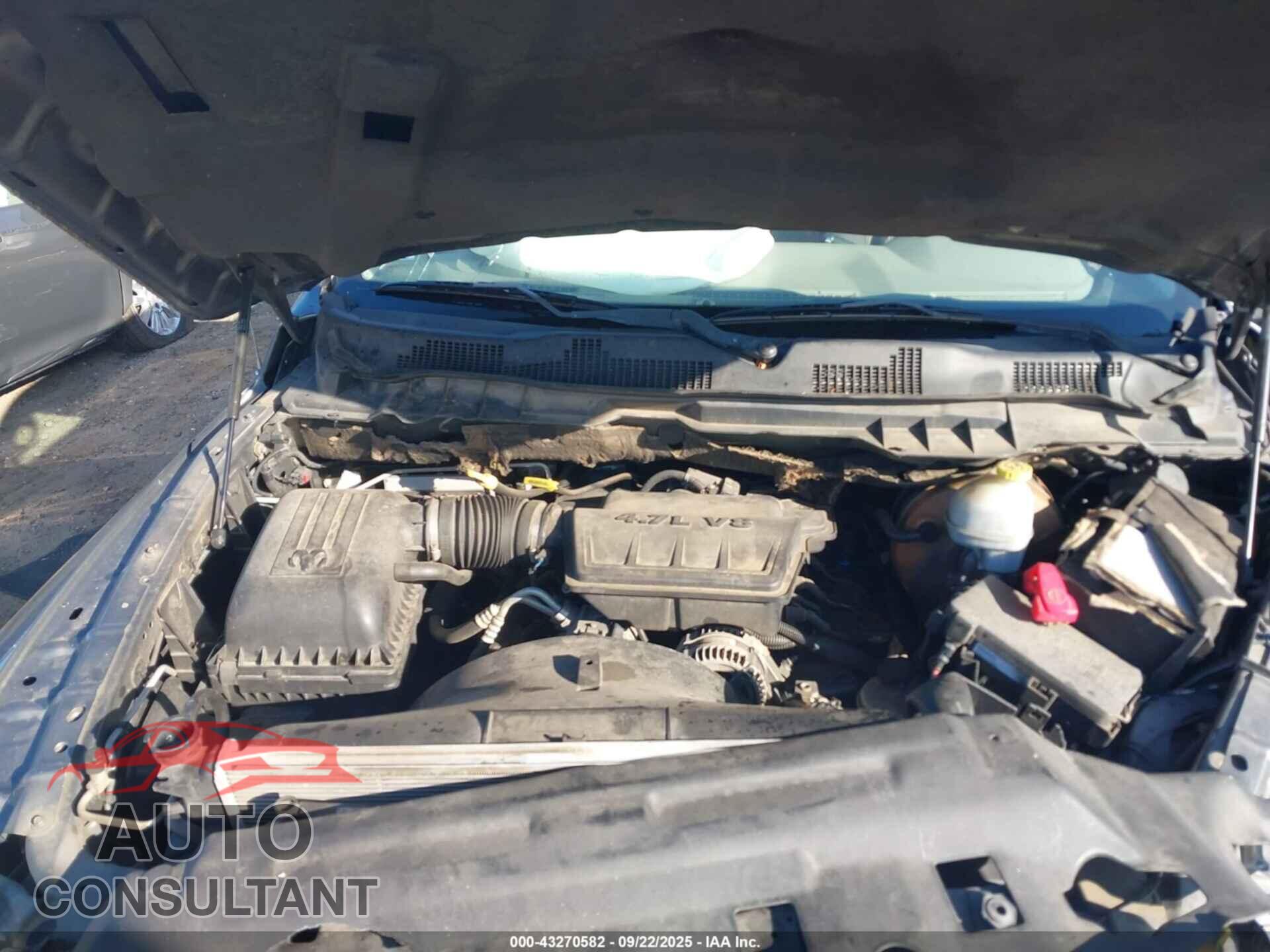 DODGE RAM 1500 2010 - 1D7RB1GP0AS119396
