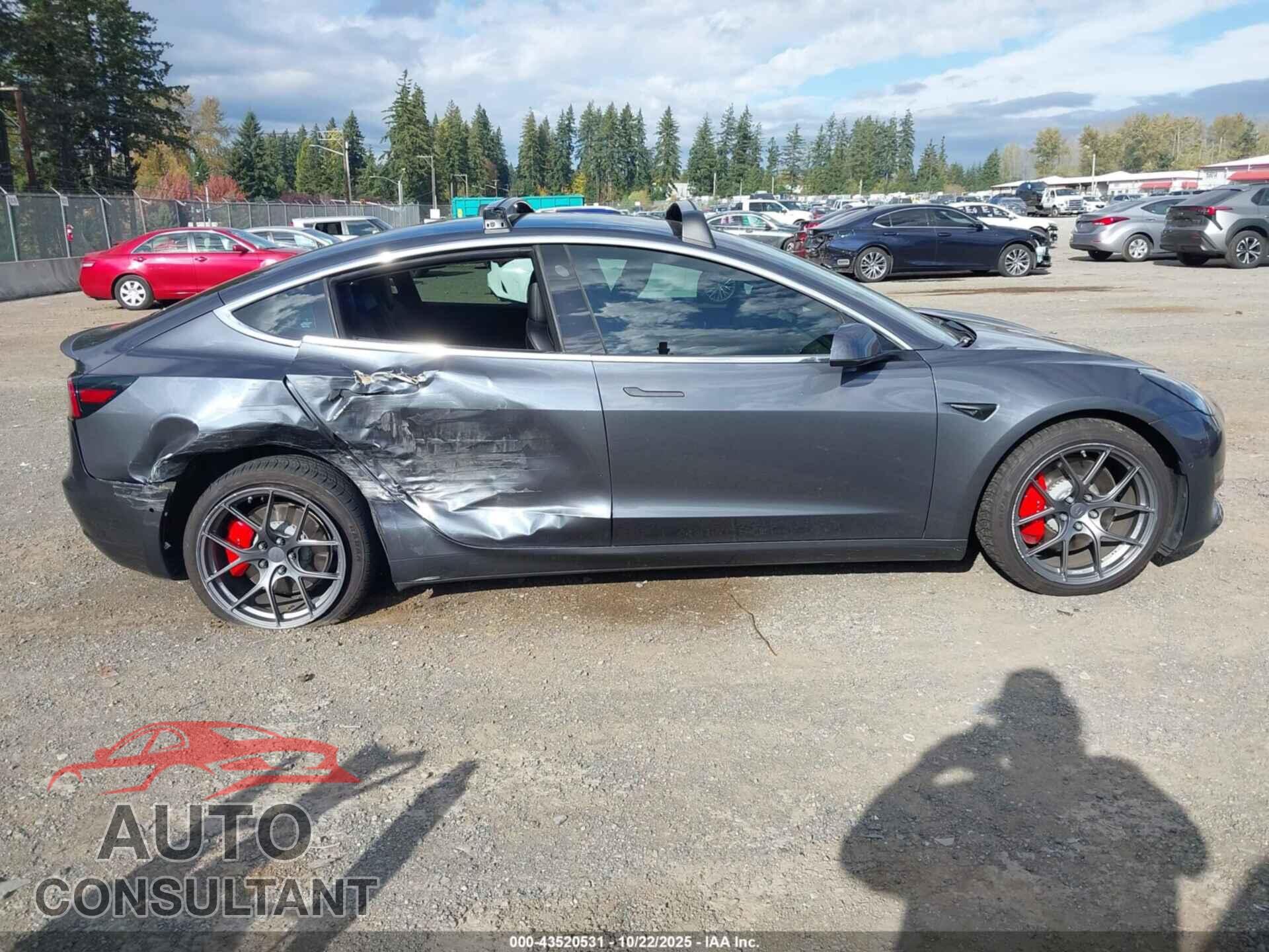 TESLA MODEL 3 2019 - 5YJ3E1EB4KF434635