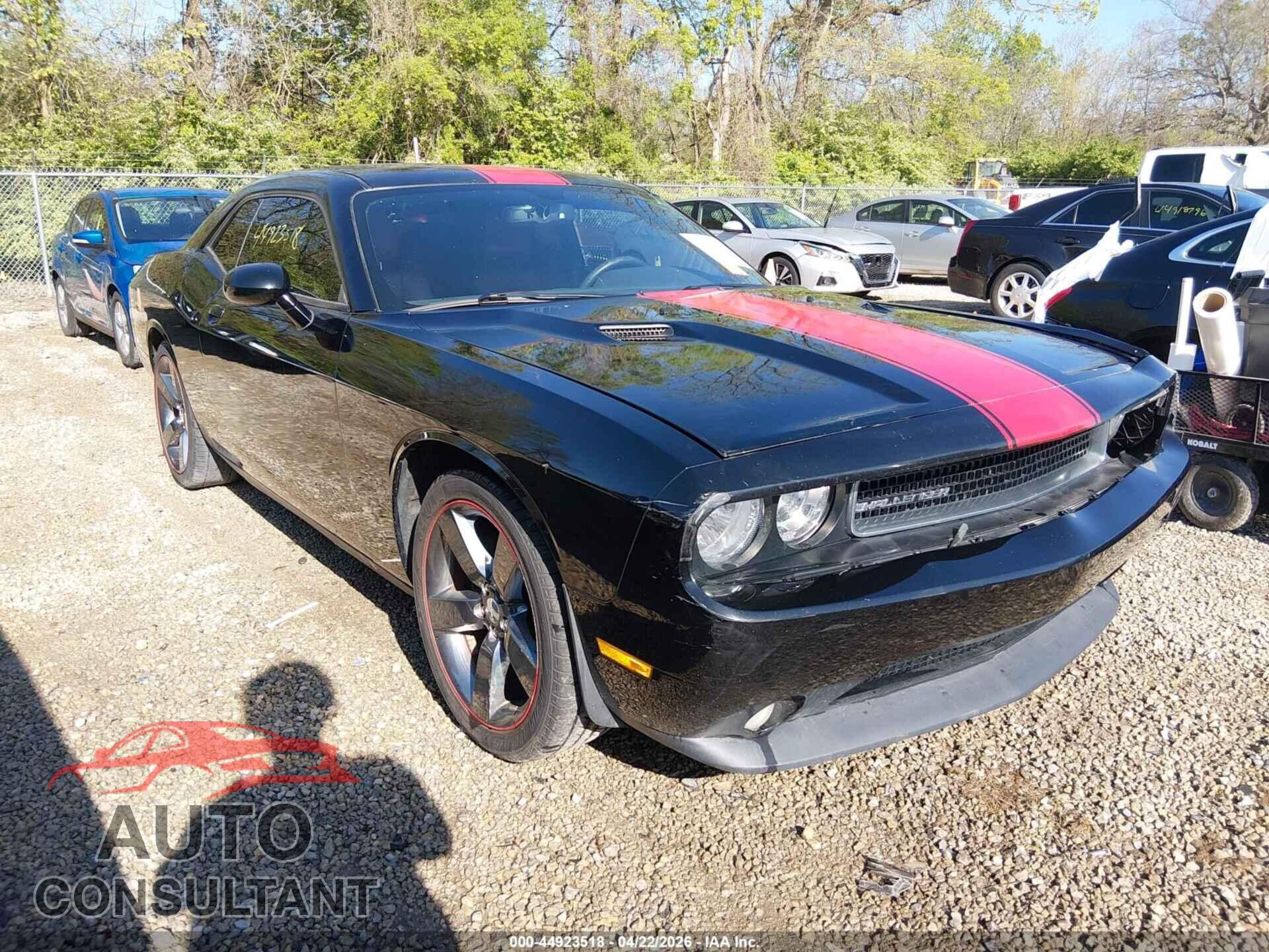 DODGE CHALLENGER 2013 - 2C3CDYAG9DH520098