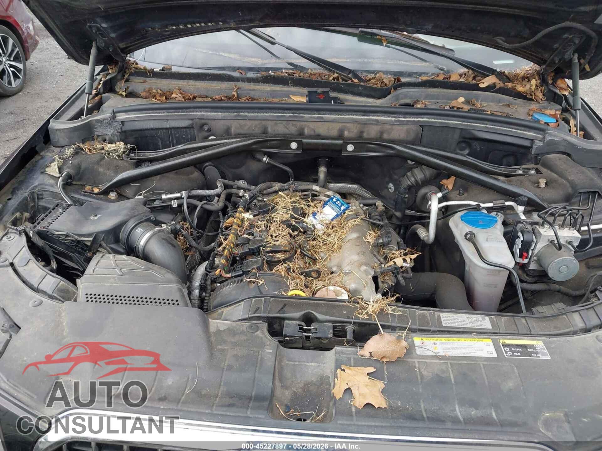 AUDI Q5 2013 - WA1LFAFP5DA011804