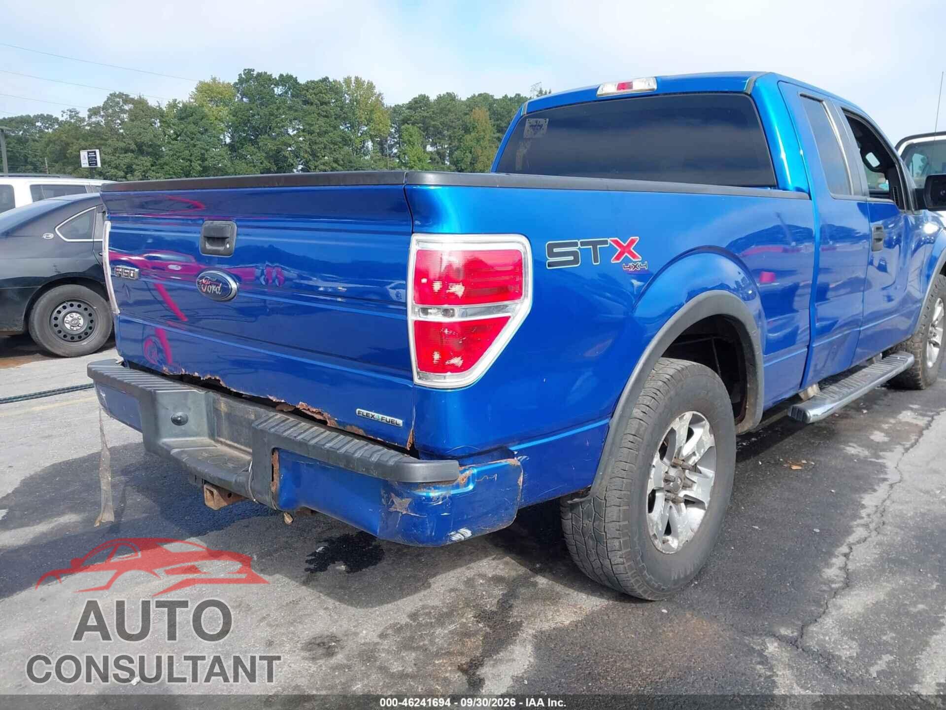 FORD F-150 2013 - 1FTFX1EF2DFB48596