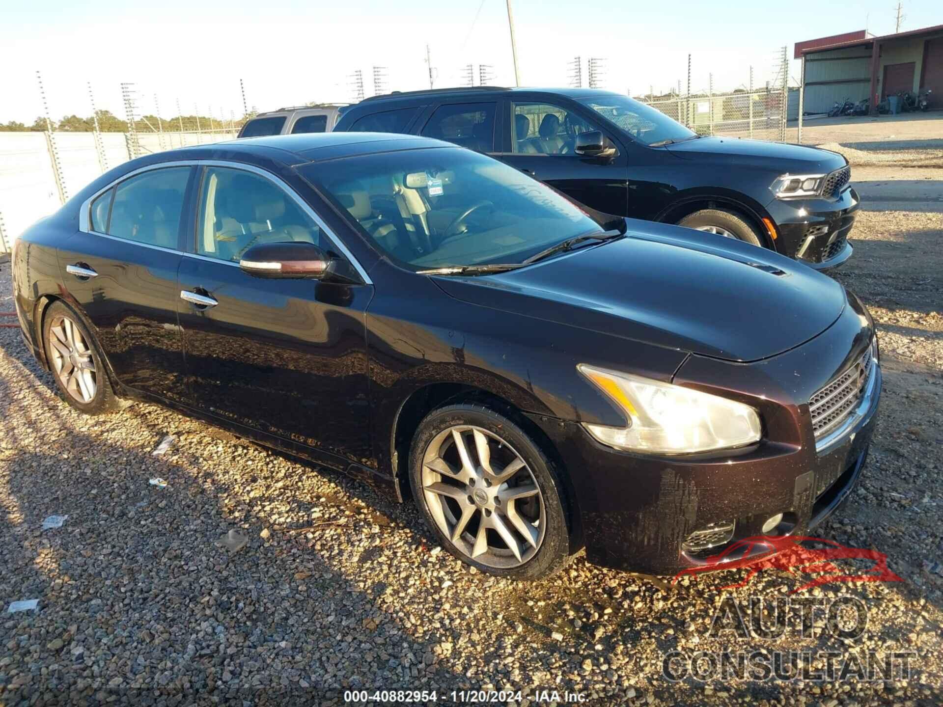 NISSAN MAXIMA 2011 - 1N4AA5AP7BC837216