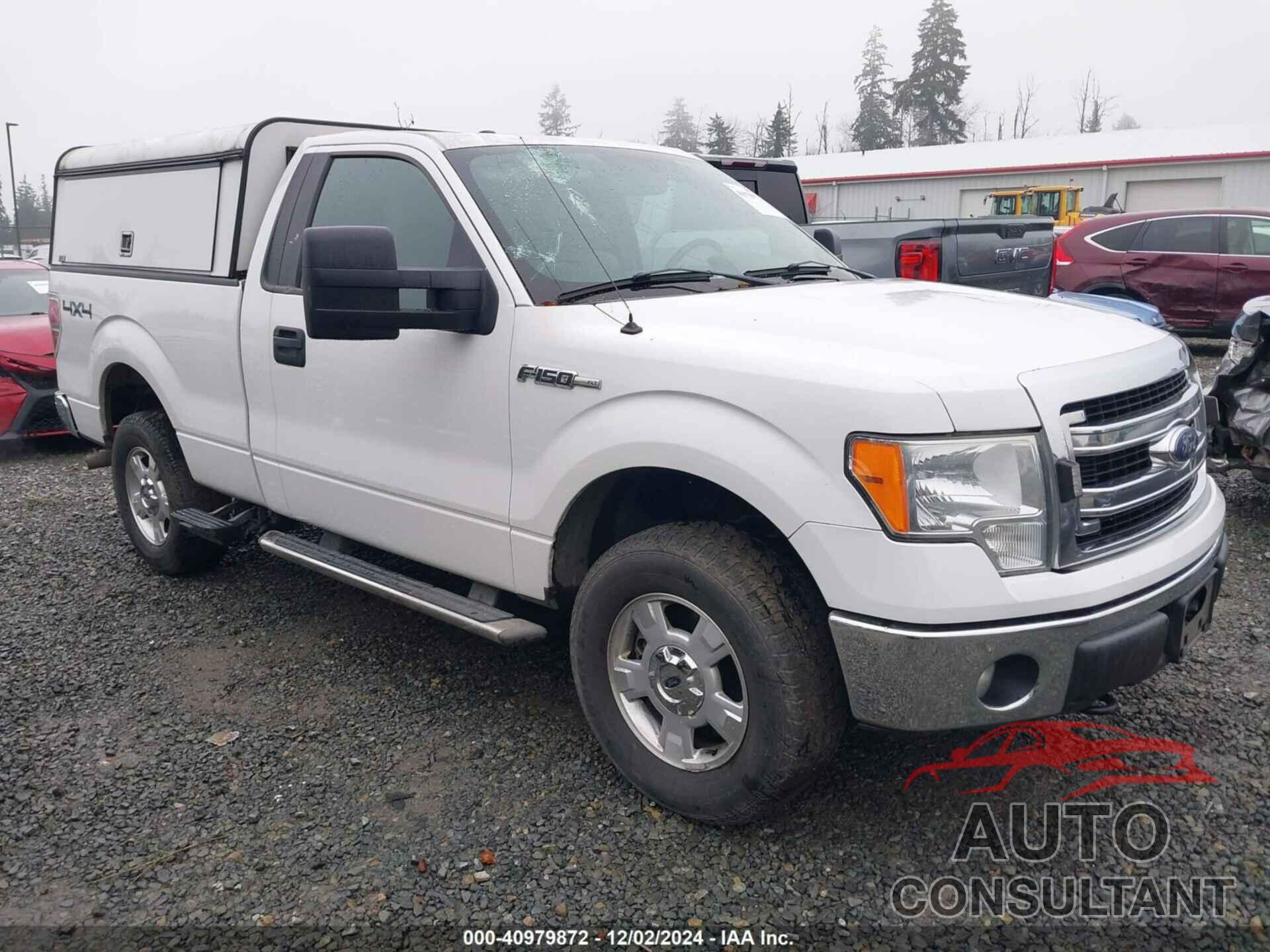 FORD F-150 2014 - 1FTMF1EF9EKD95441