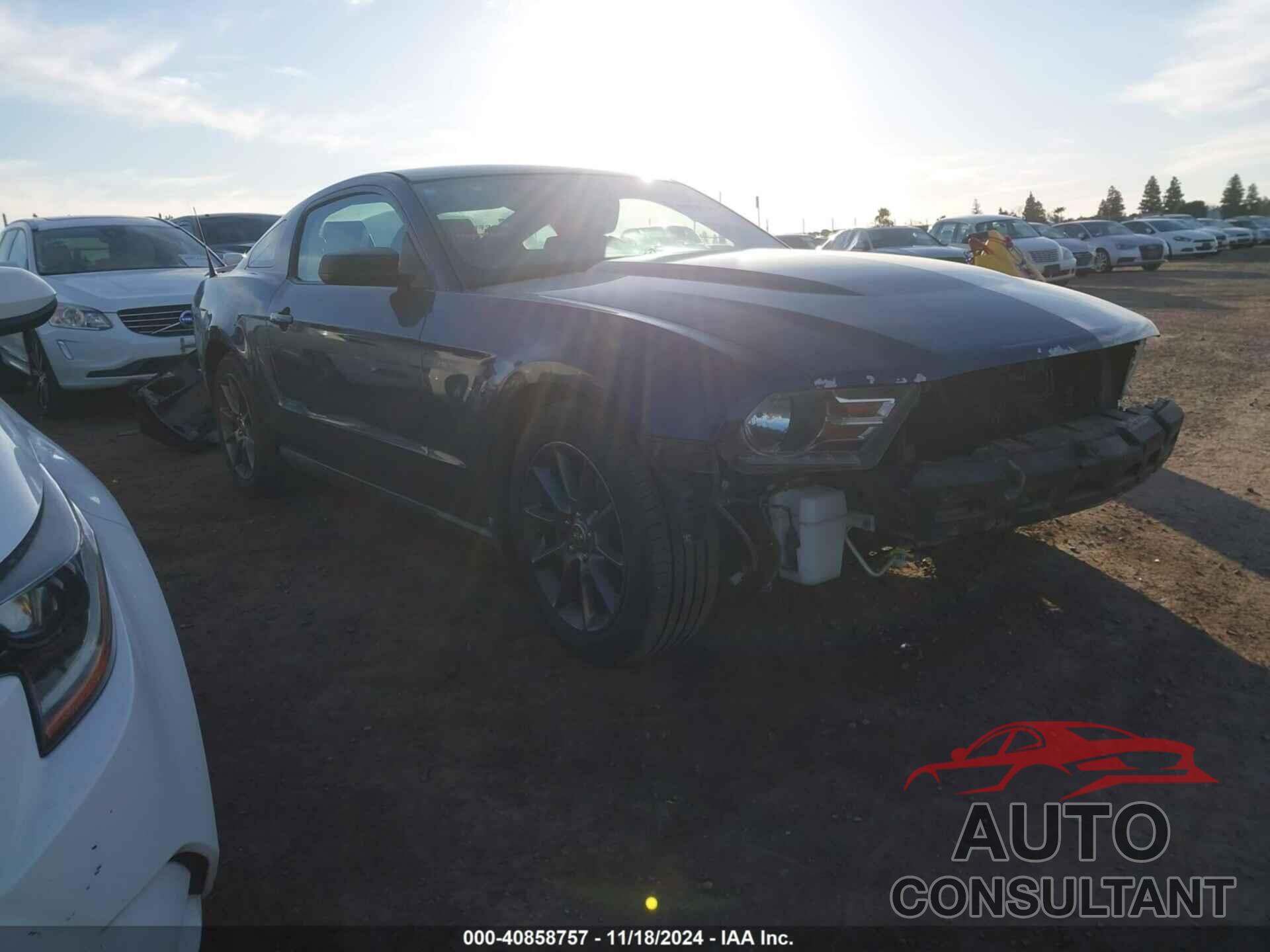 FORD MUSTANG 2011 - 1ZVBP8AMXB5146879