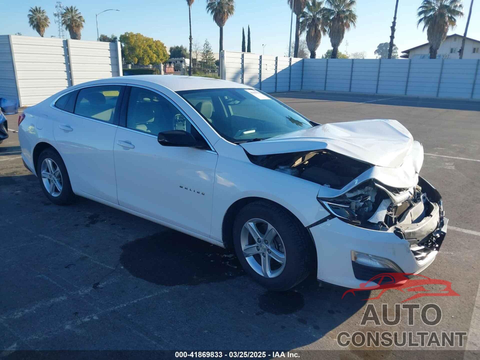 CHEVROLET MALIBU 2019 - 1G1ZC5STXKF171852