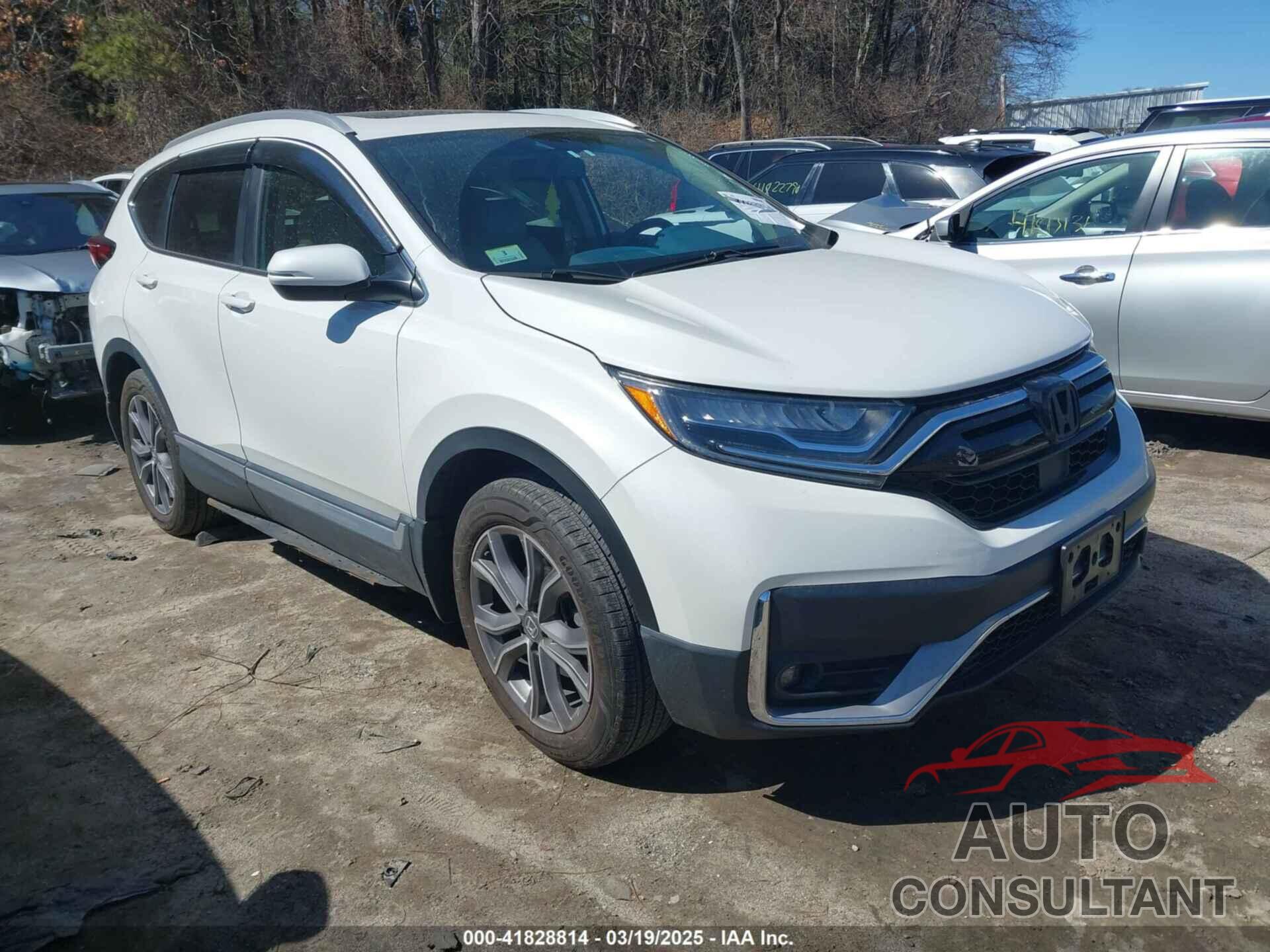HONDA CR-V 2020 - 2HKRW2H99LH659058