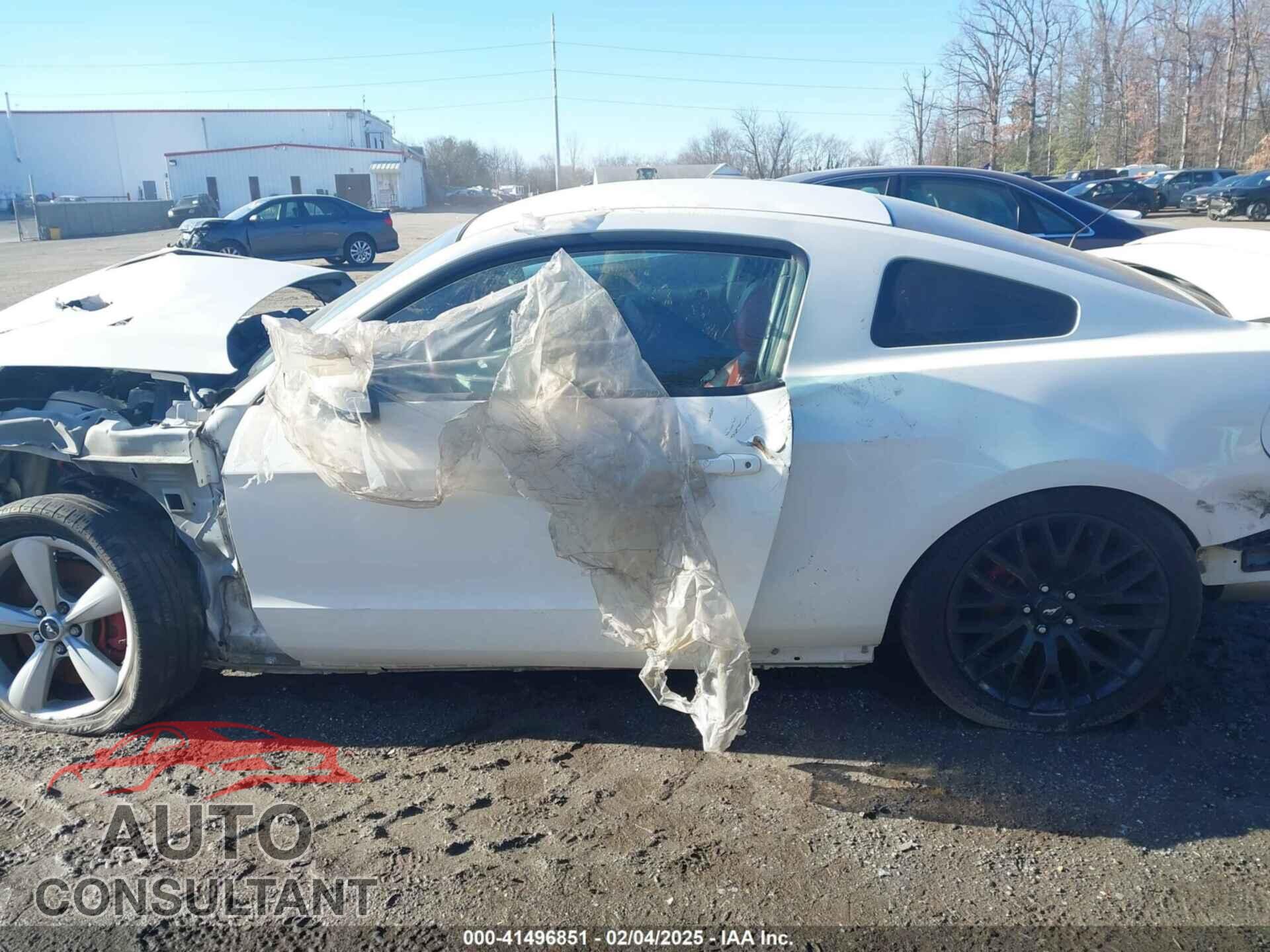 FORD MUSTANG 2013 - 1ZVBP8CF7D5205193