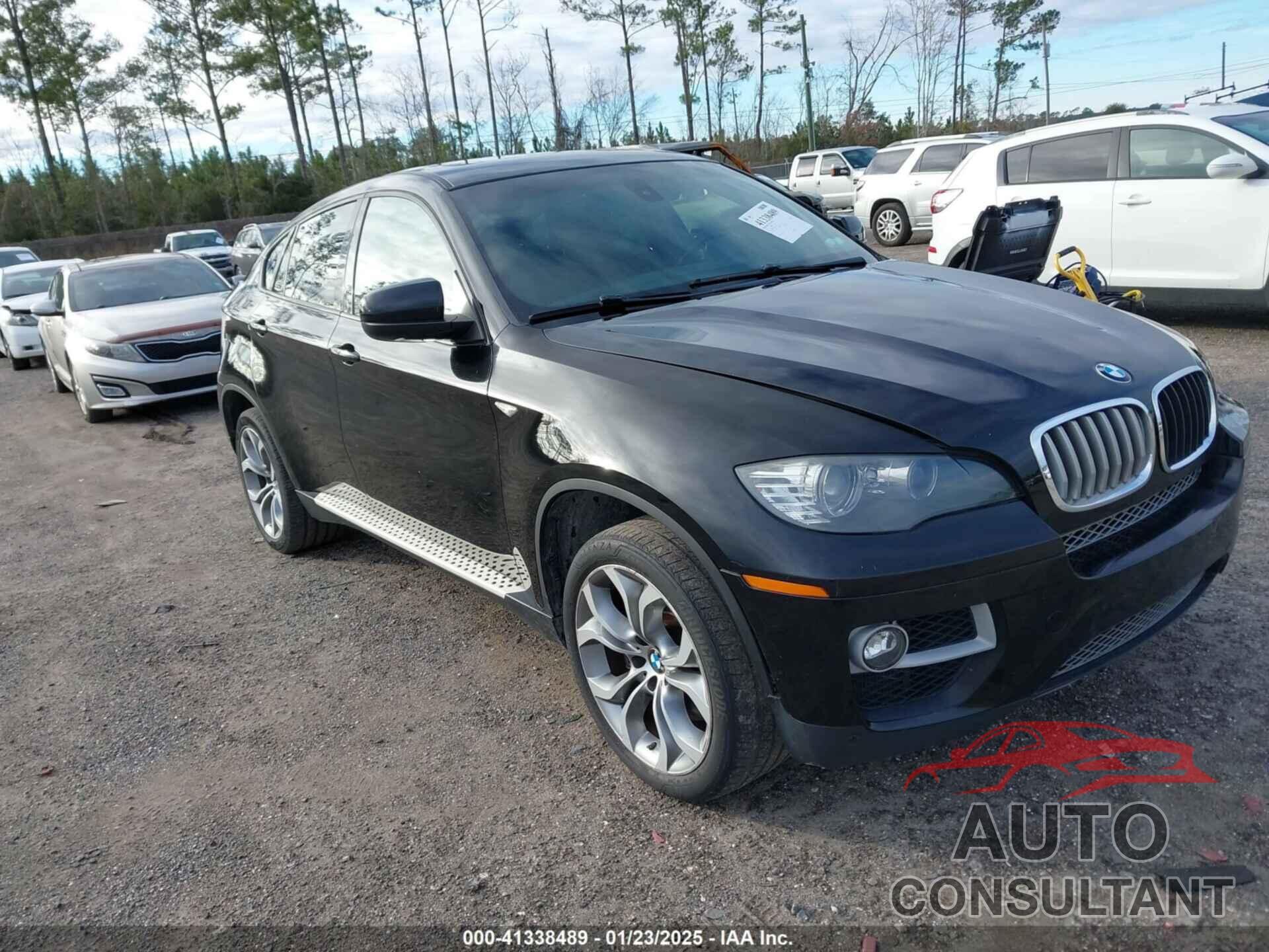 BMW X6 2013 - 5UXFG8C54DL591433