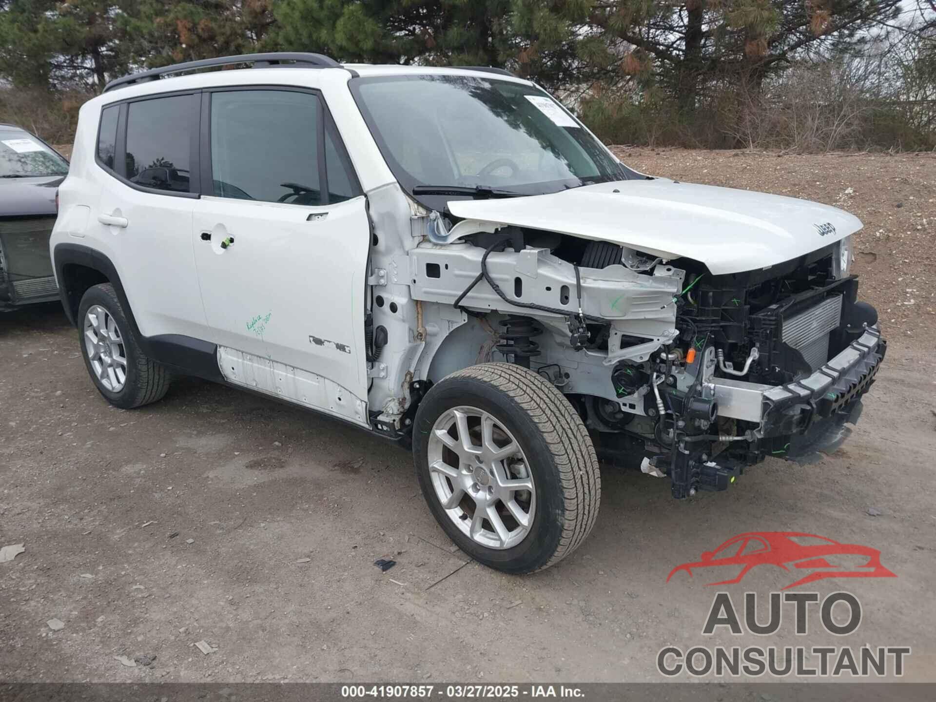 JEEP RENEGADE 2021 - ZACNJDBB3MPM13536