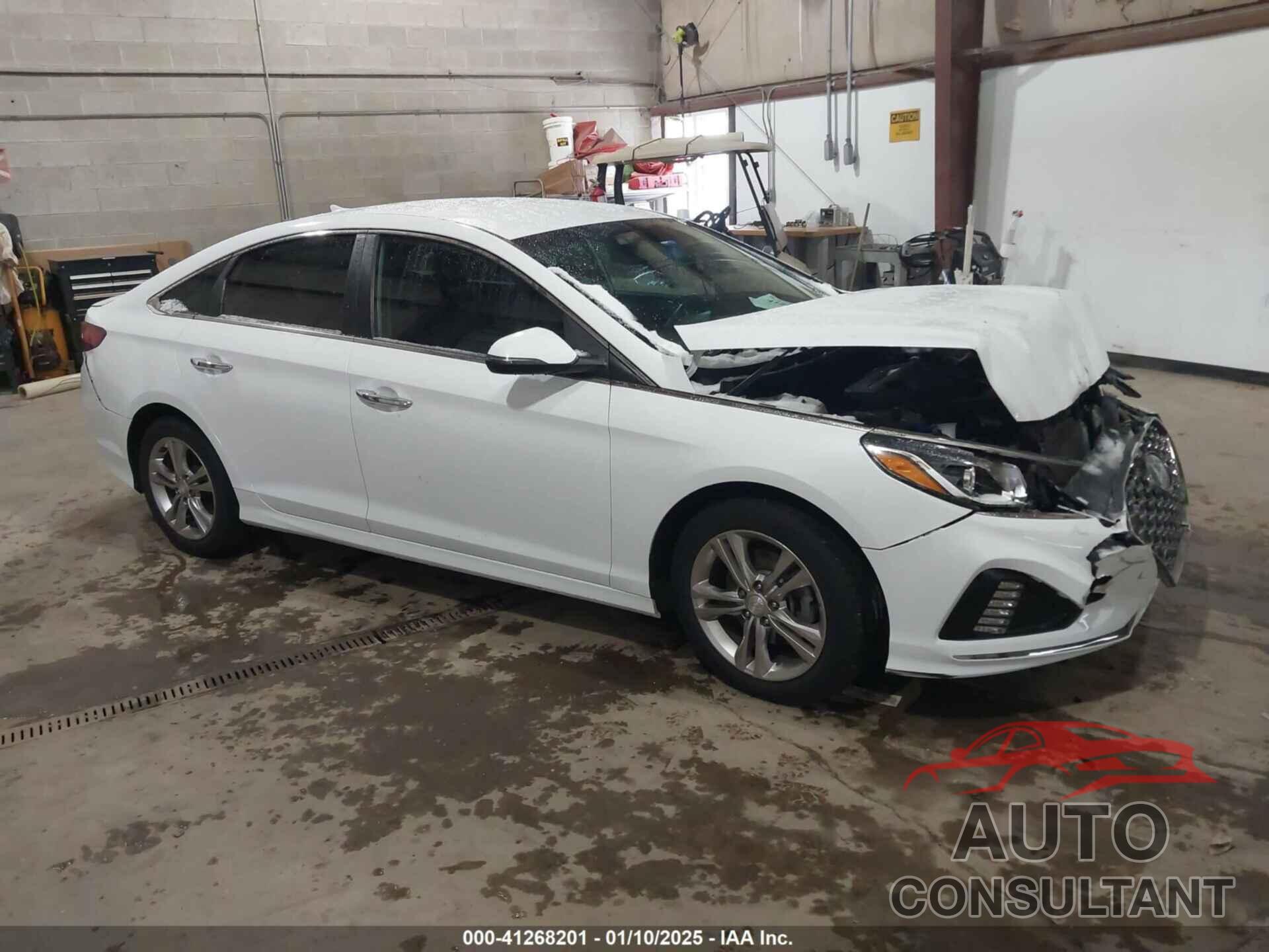 HYUNDAI SONATA 2019 - 5NPE34AF3KH736461